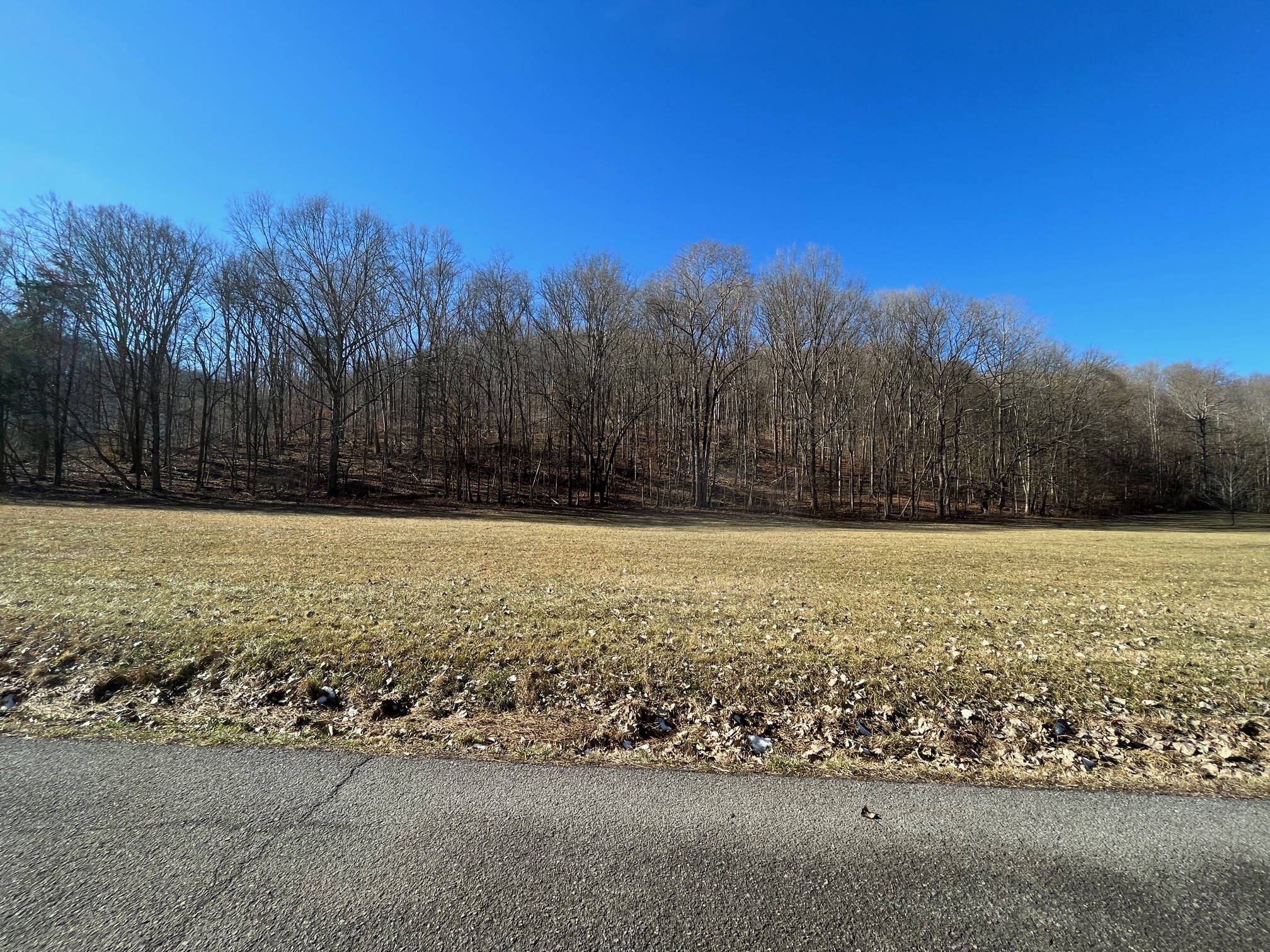 0 Wolf Hill Road Bethpage, TN 37022 - Photo 2 of 7 a view of outdoor space yard and trees