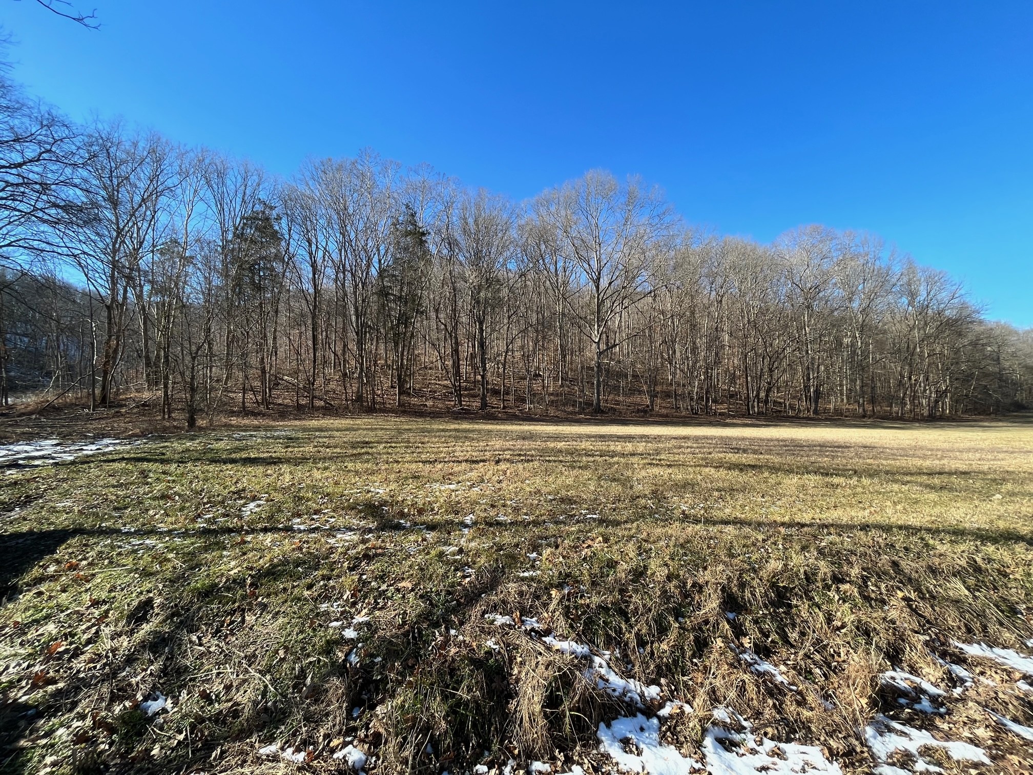 0 Wolf Hill Road Bethpage, TN 37022 - Photo 3 of 7 a view of outdoor space with mountain view