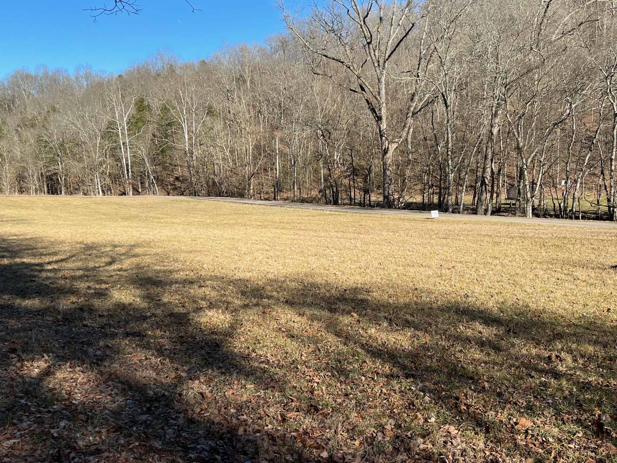 0 Wolf Hill Road Bethpage, TN 37022 - Photo 5 of 7 a view of yard and mountain view
