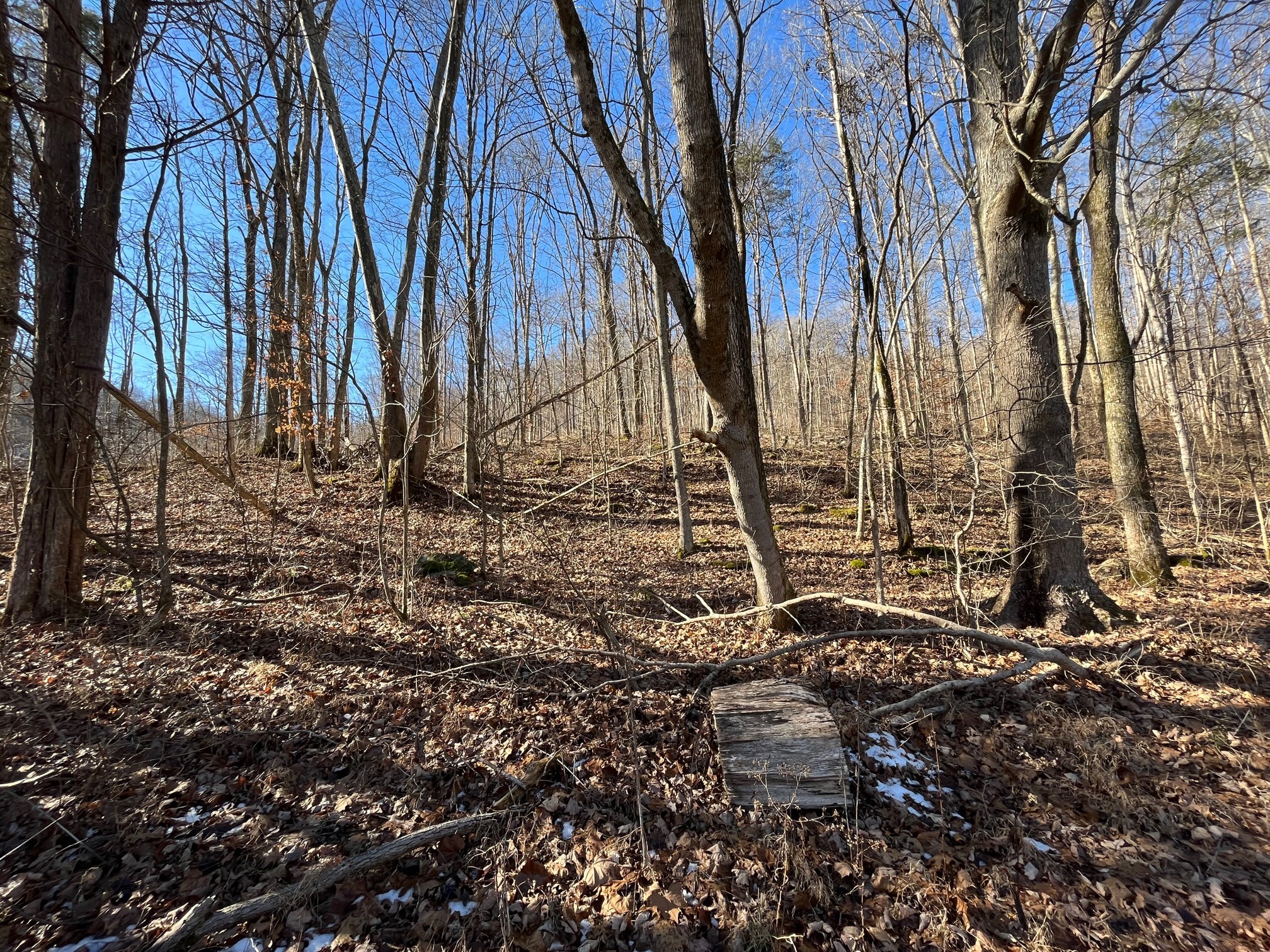 0 Wolf Hill Road Bethpage, TN 37022 - Photo 6 of 7 a backyard of a house with lots of green space