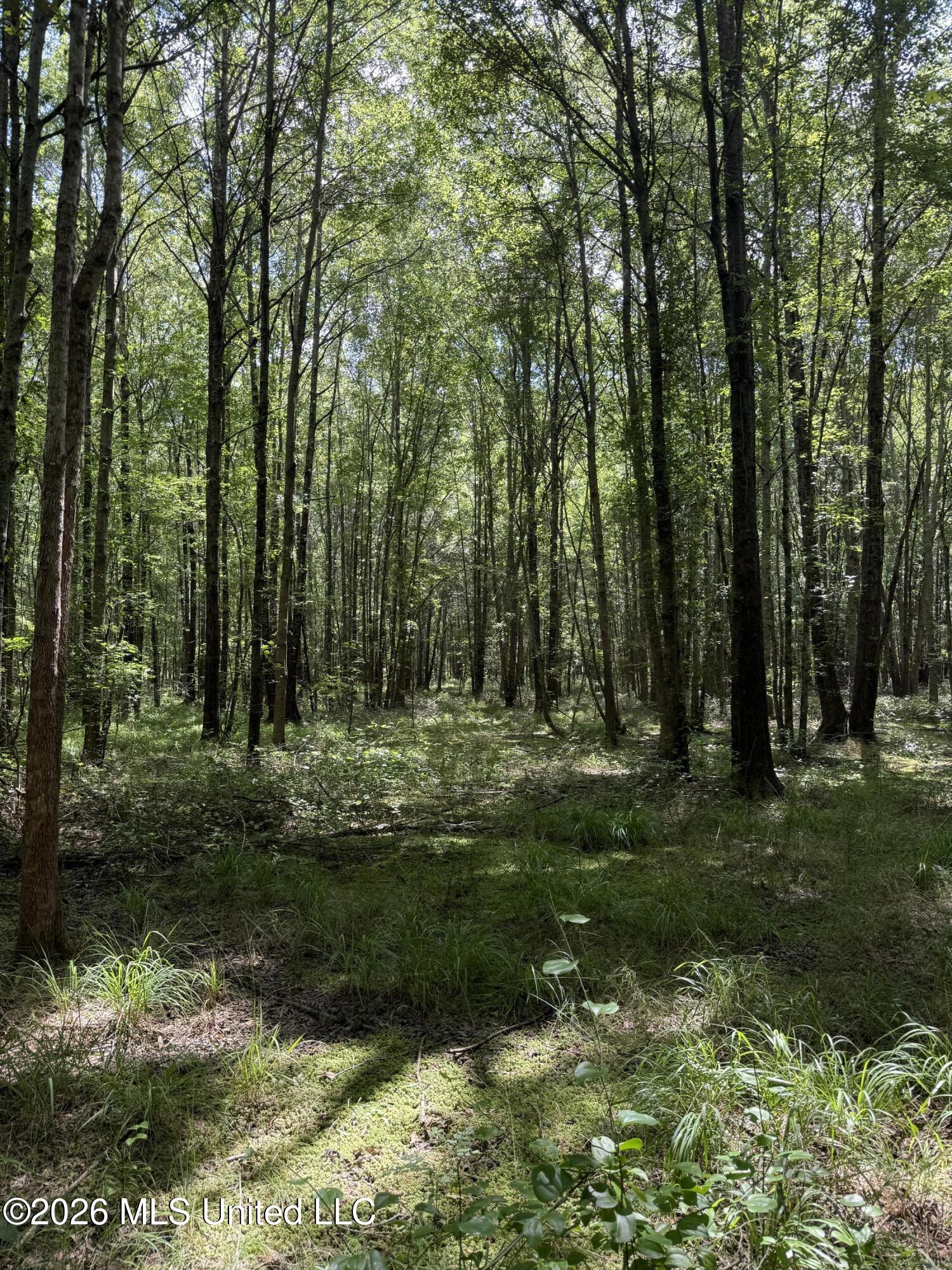 407 Highway Kilmichael Ms 39747 French Camp, MS 39745 - Photo 13 of 26 IMG_6314