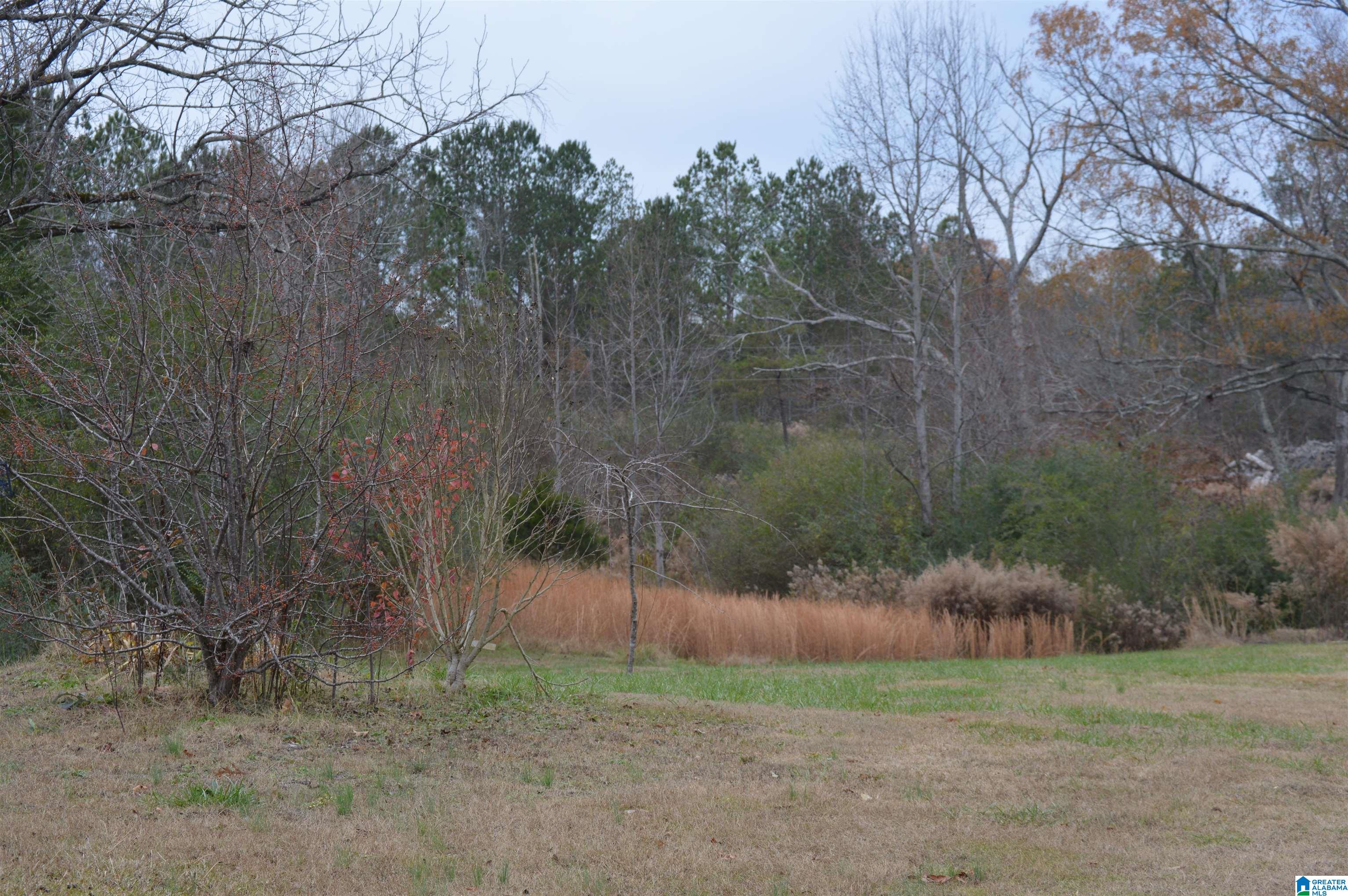 272 County Road 143 Arley, AL 35541 - Photo 30 of 30