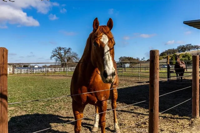 $1,894,000 | 4310 Almond Drive, Templeton, CA 93465