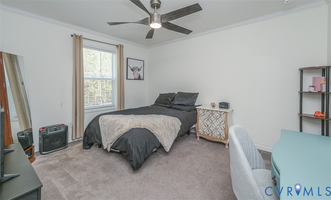 3767 Broad St Road Gum Spring, VA 23065 - Photo 24 of 47