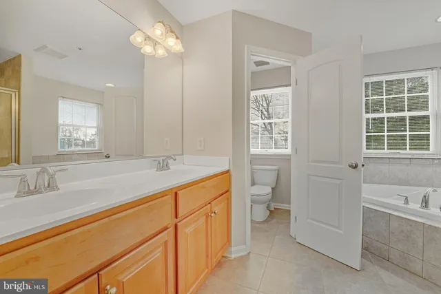 a bathroom with a sink a toilet and a bathtub