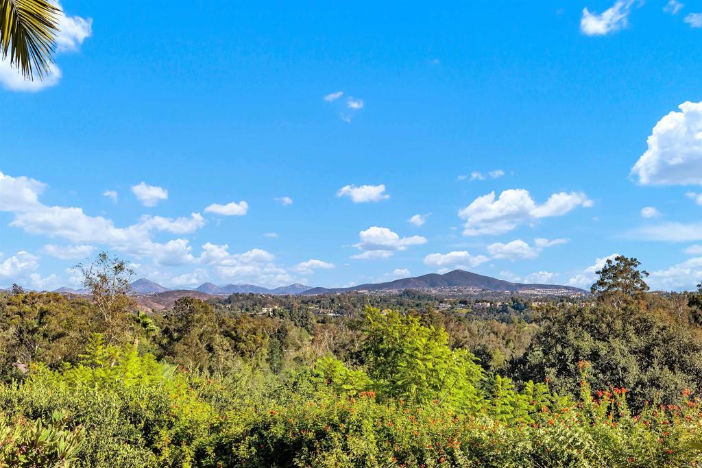 16346 Via Del Alba Rancho Santa Fe, CA 92067 - Photo 31 of 34
