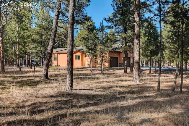 a view of a yard with plants and trees