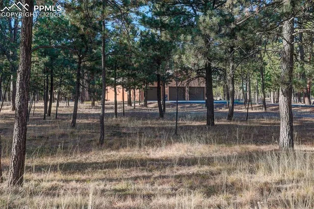 a view of backyard with green space