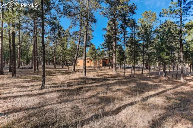 a view of road with trees
