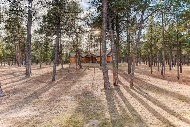 a view of park with trees