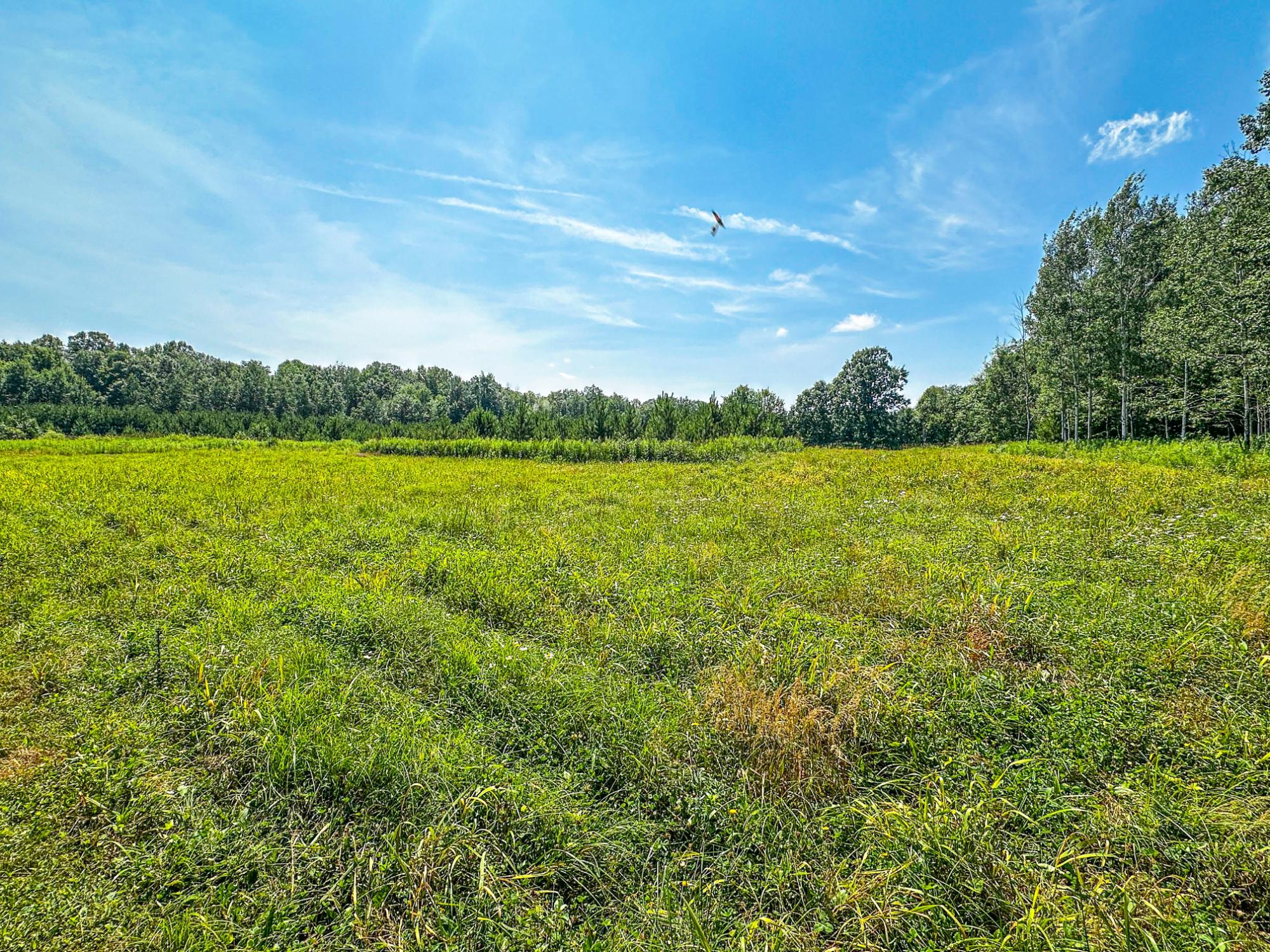 N4102 Noll Road Kennan, WI 54537 - Photo 96 of 99 Gallery Image 96