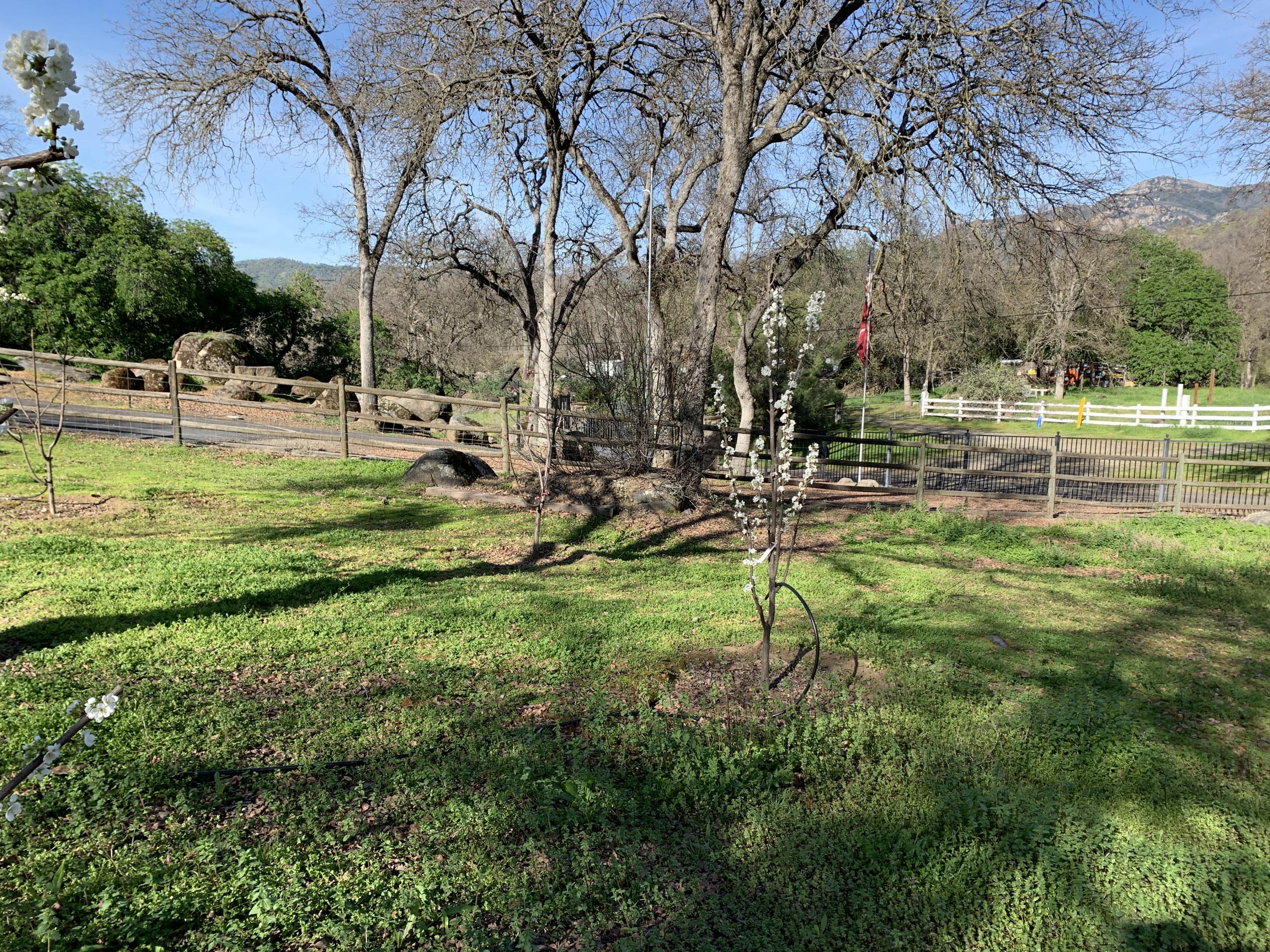 41189 Harris Road Springville, CA 93265 - Photo 52 of 60 IMG_8005