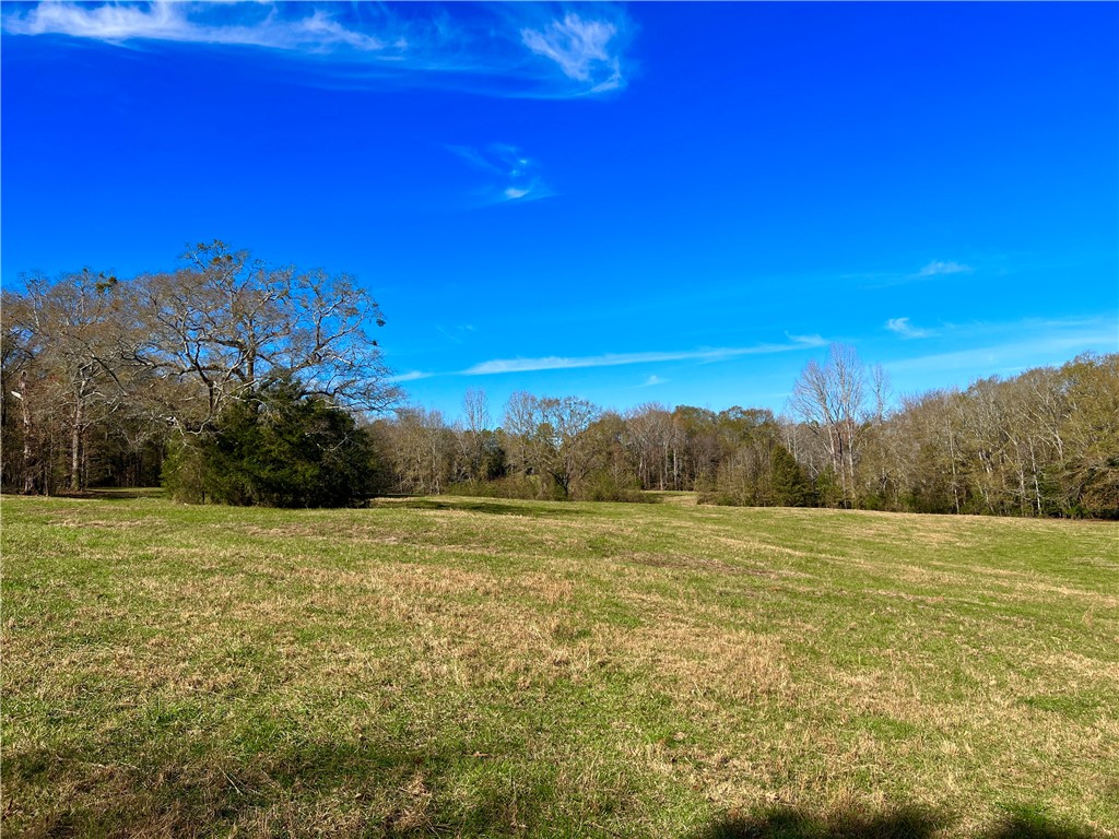 1 Tornado Road Honea Path, SC 29654 - Photo 2 of 11