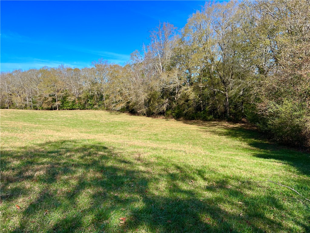 1 Tornado Road Honea Path, SC 29654 - Photo 3 of 11