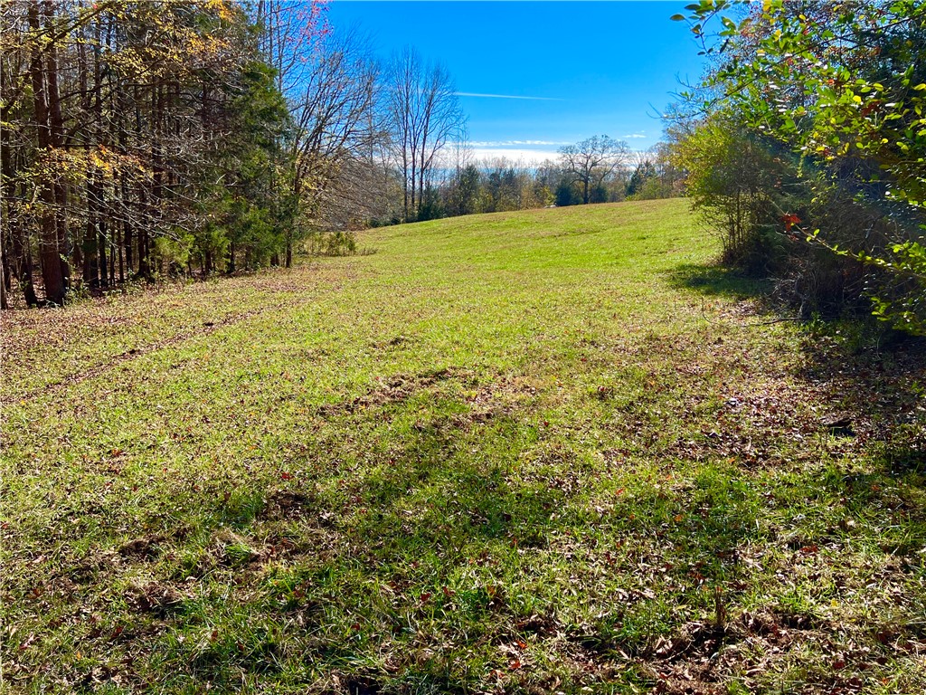 1 Tornado Road Honea Path, SC 29654 - Photo 5 of 11