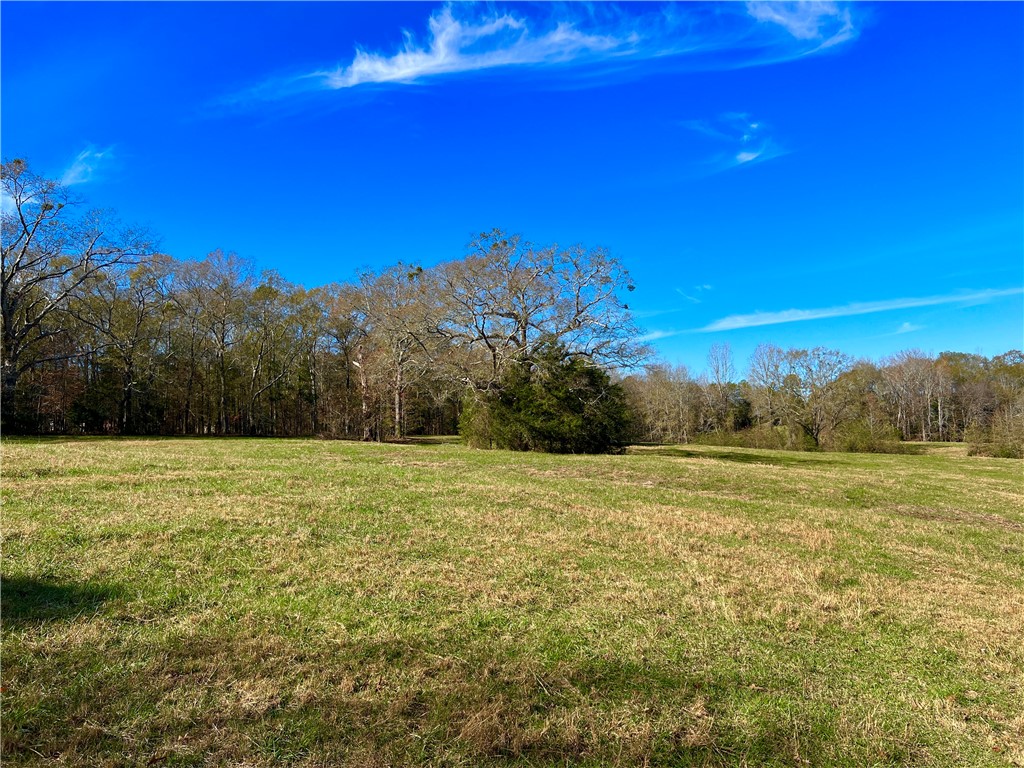 1 Tornado Road Honea Path, SC 29654 - Photo 7 of 11