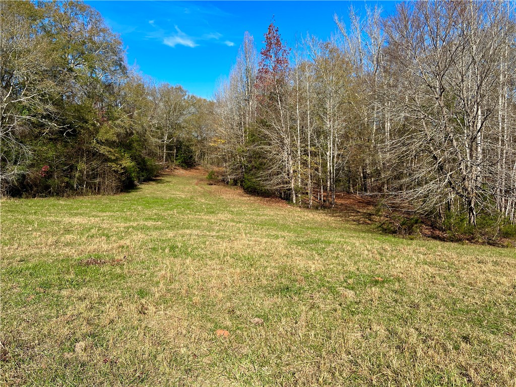 1 Tornado Road Honea Path, SC 29654 - Photo 8 of 11