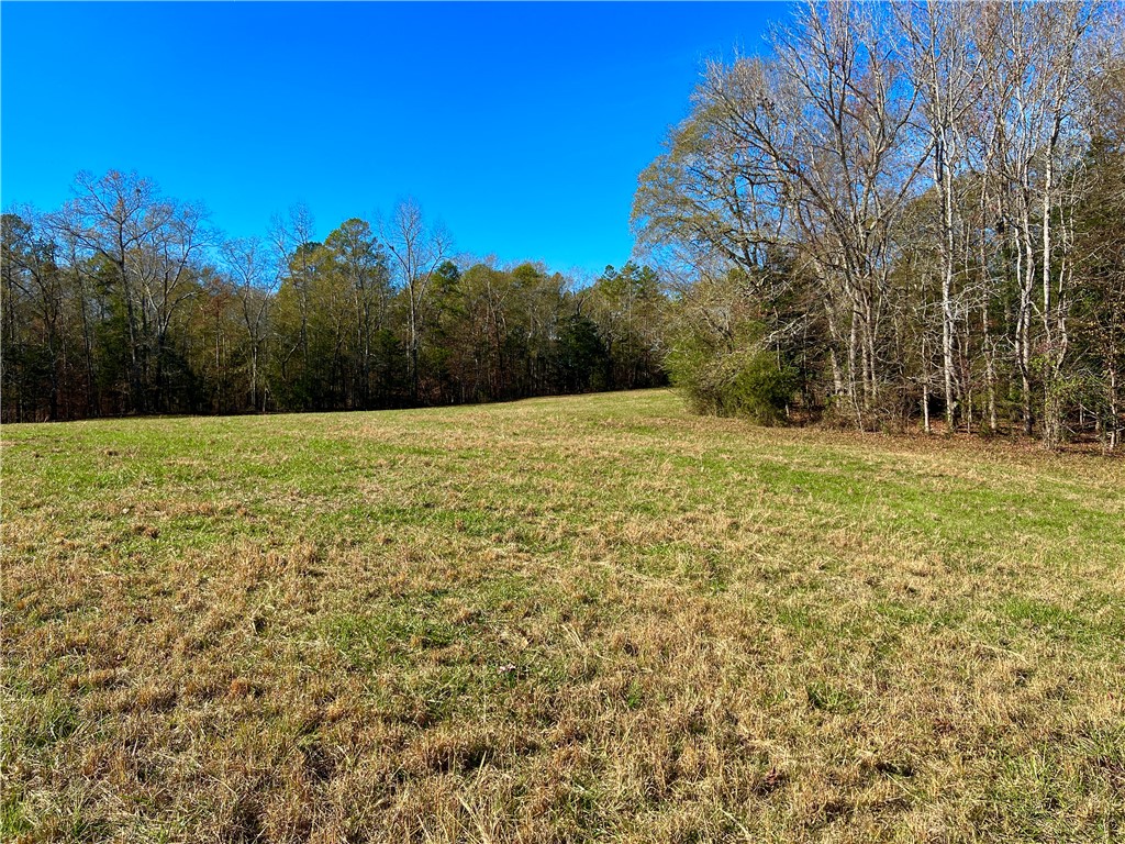1 Tornado Road Honea Path, SC 29654 - Photo 9 of 11