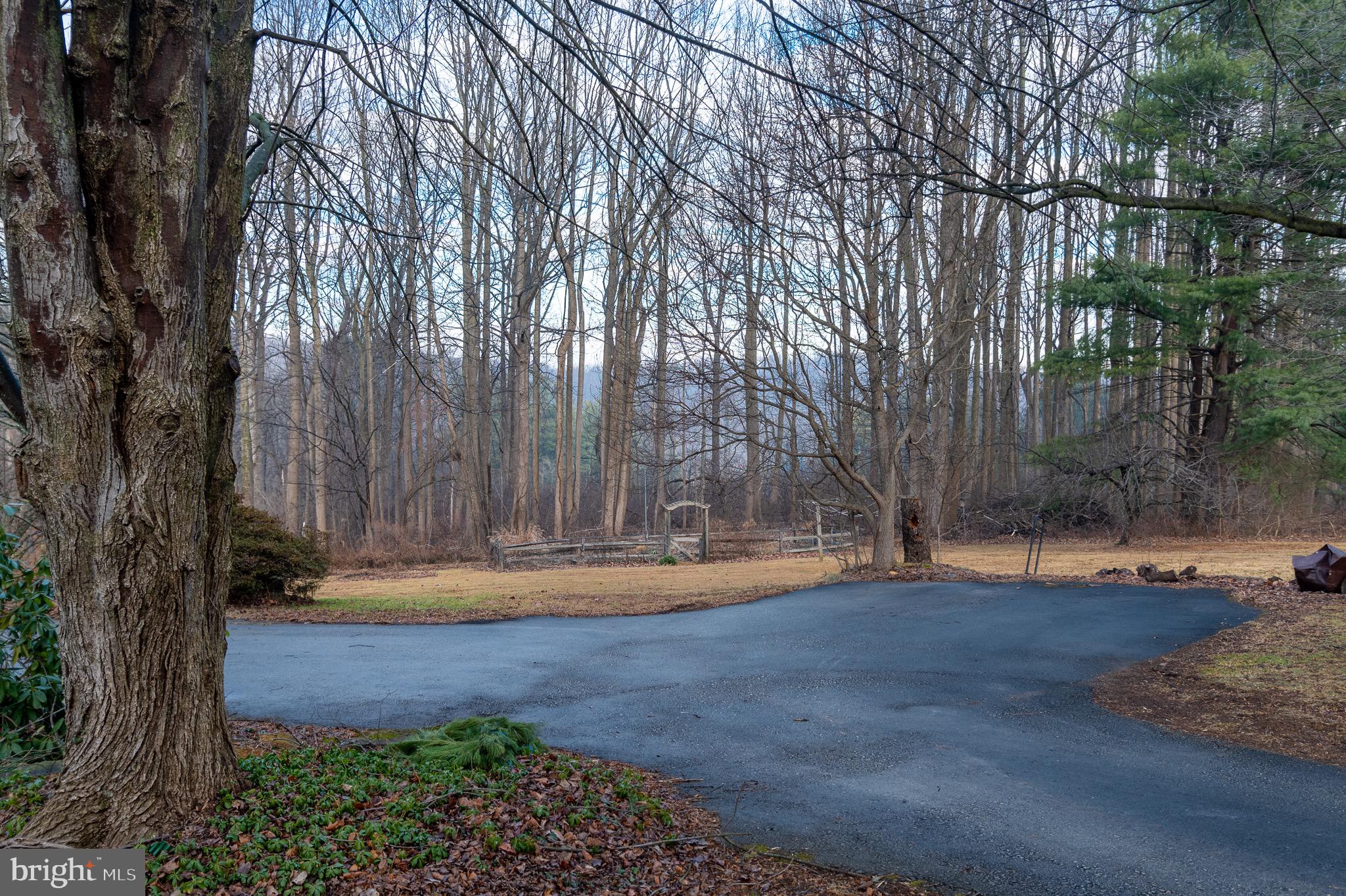 12 Phillips Lane Chester Springs, PA 19425 - Photo 14 of 54 a backyard of water fountain and trees