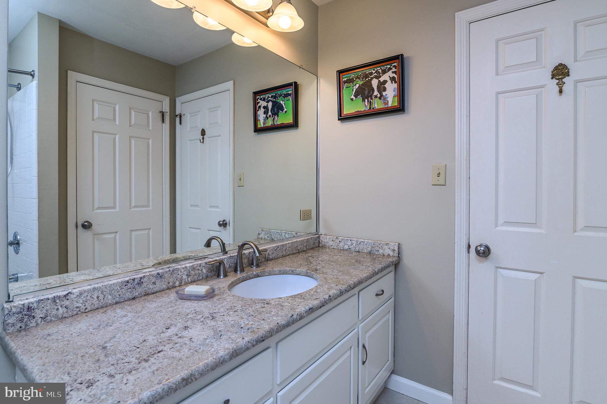 12 Phillips Lane Chester Springs, PA 19425 - Photo 37 of 54 a bathroom with a granite countertop sink and a mirror