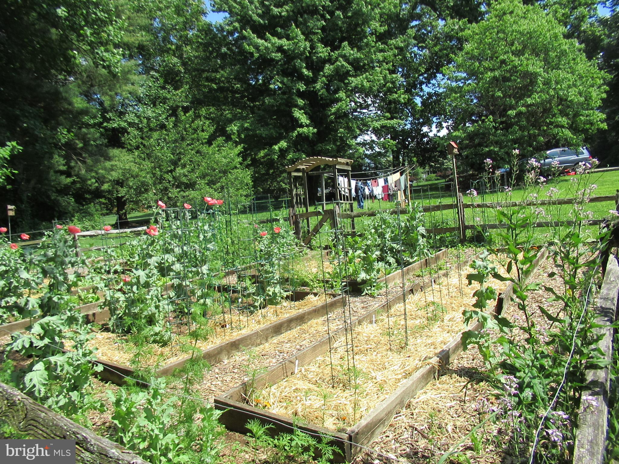 12 Phillips Lane Chester Springs, PA 19425 - Photo 43 of 54 a view of yard with green space