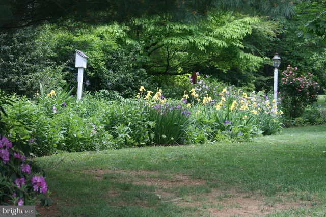 a backyard of a house with lots of green space