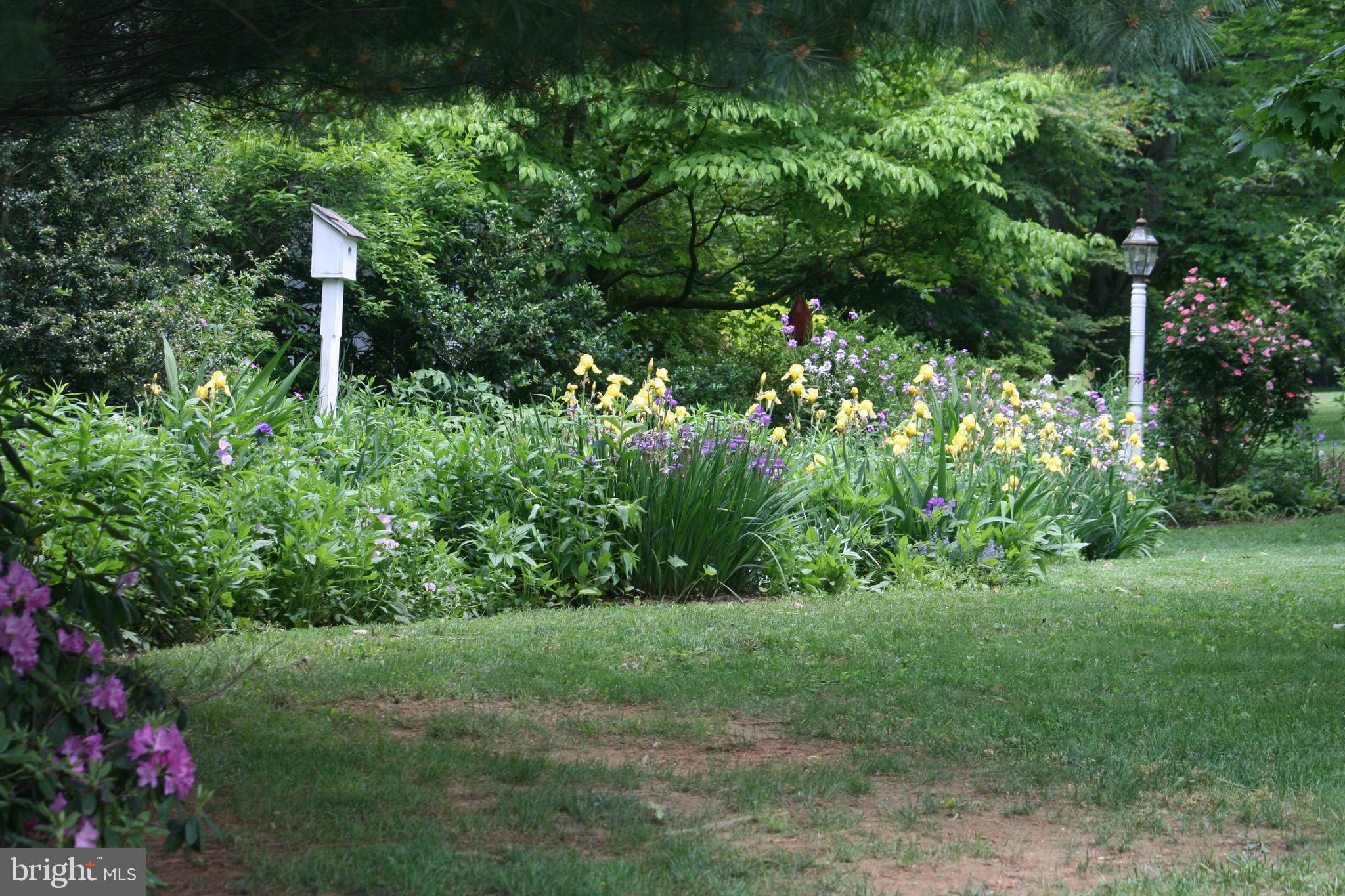 12 Phillips Lane Chester Springs, PA 19425 - Photo 46 of 54 a view of yard with green space