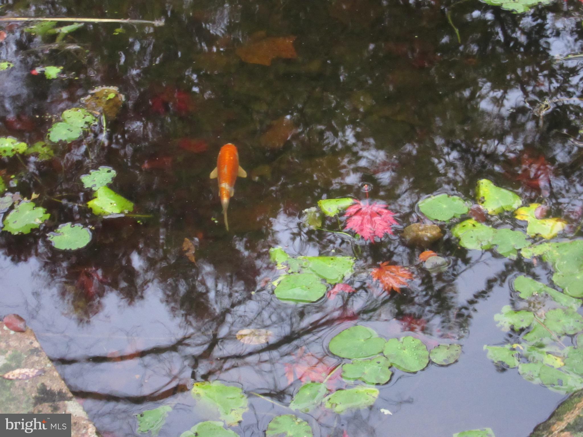 12 Phillips Lane Chester Springs, PA 19425 - Photo 47 of 54 a bunch of flowers