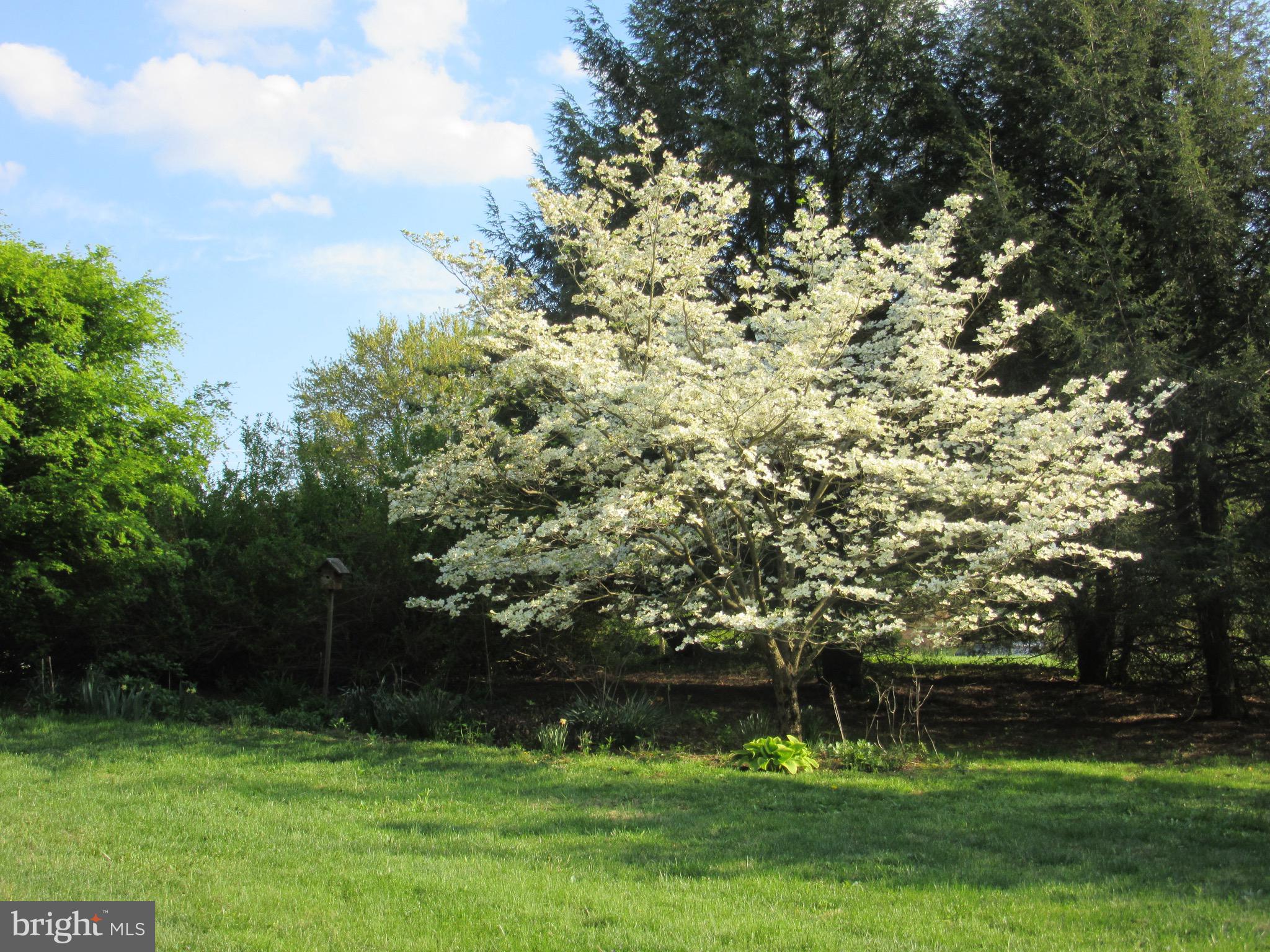 12 Phillips Lane Chester Springs, PA 19425 - Photo 48 of 54