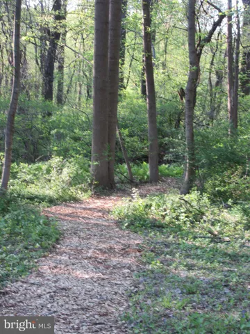 a view of a house with a tree