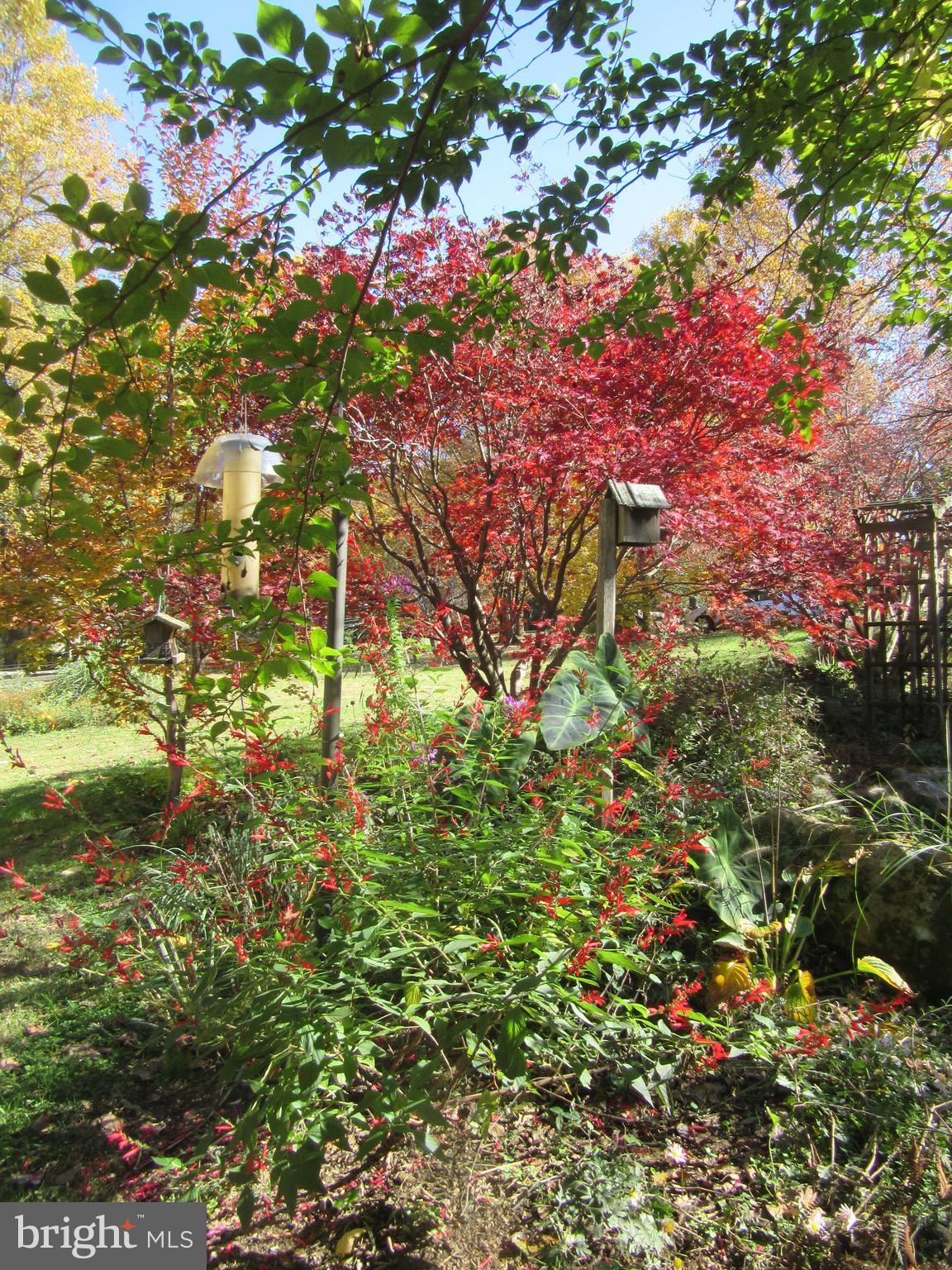 12 Phillips Lane Chester Springs, PA 19425 - Photo 51 of 54 a backyard of a house