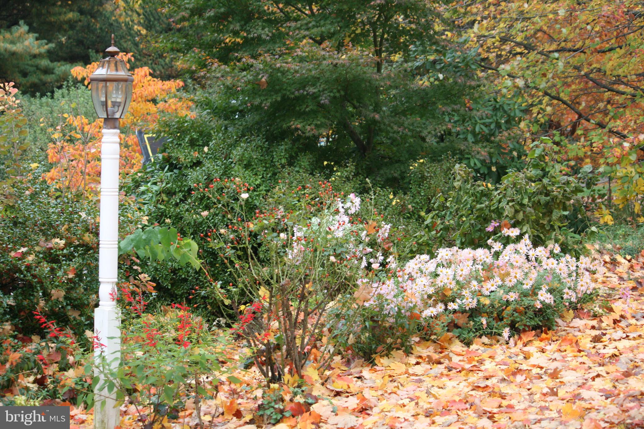 12 Phillips Lane Chester Springs, PA 19425 - Photo 52 of 54 a view of a house with a tree