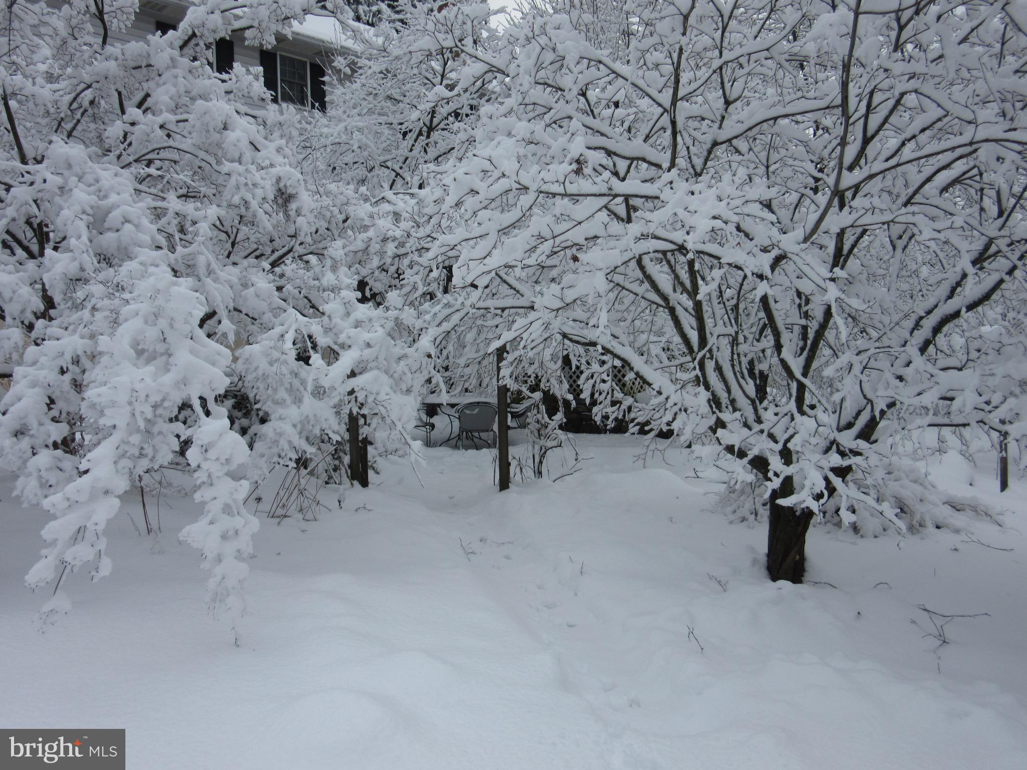 12 Phillips Lane Chester Springs, PA 19425 - Photo 54 of 54