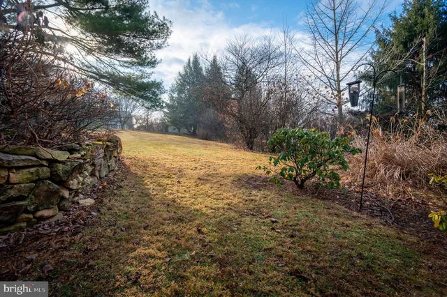 a view of a yard with an trees