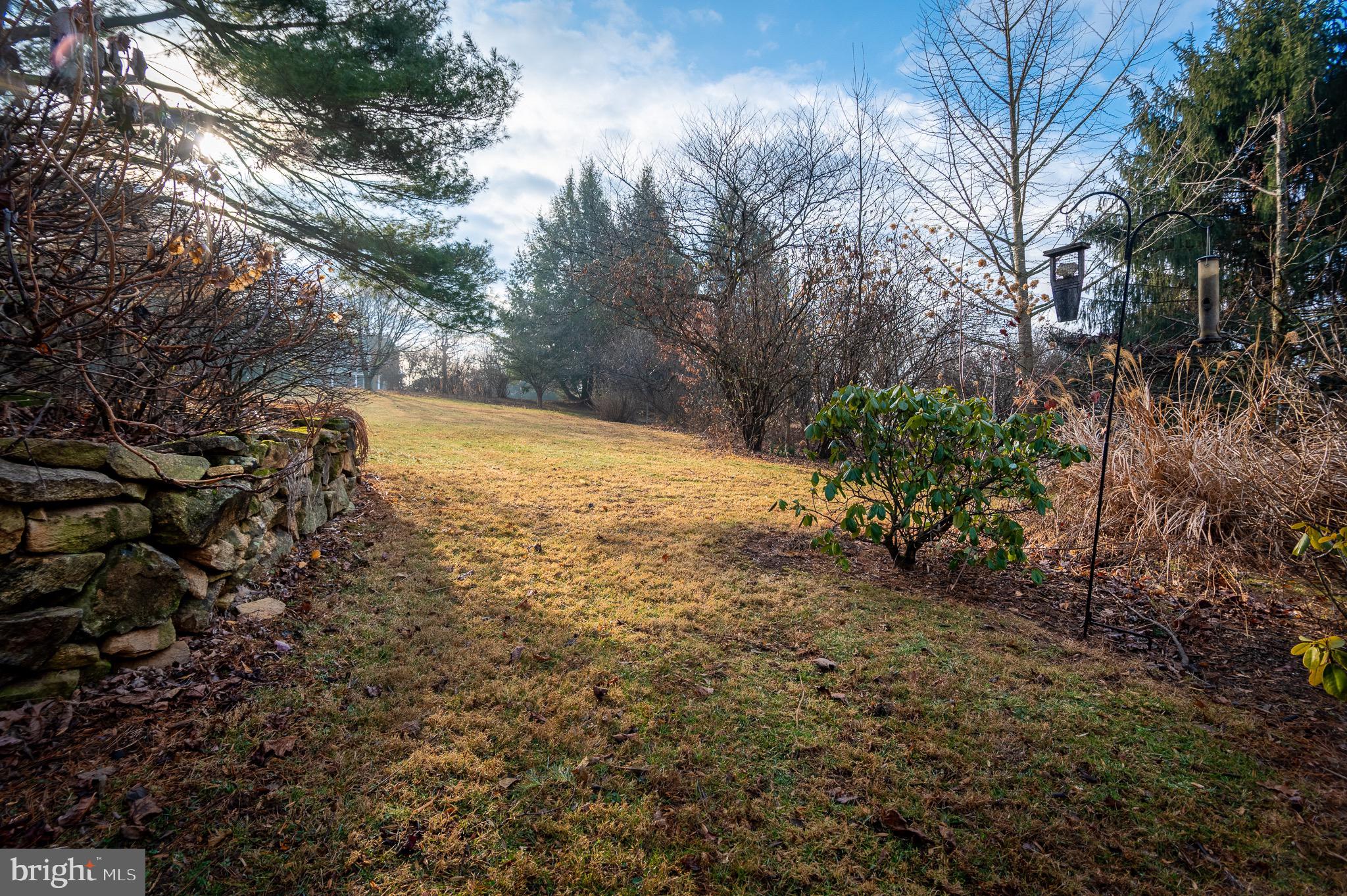 12 Phillips Lane Chester Springs, PA 19425 - Photo 8 of 54 a view of a yard with an trees