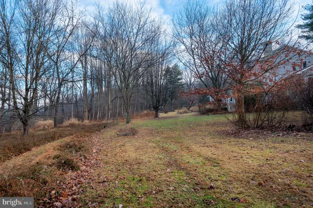 a view of a tree in the middle of a yard