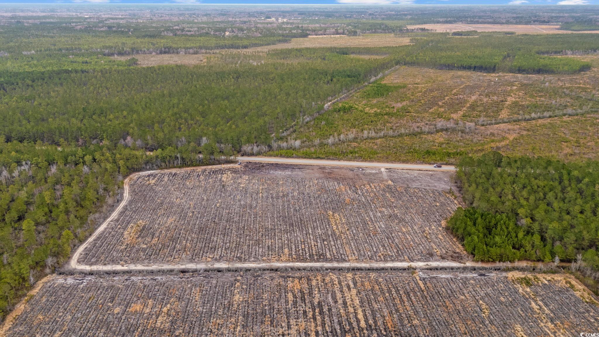 Tbd Joyner Swamp Road Galivants Ferry, SC 29544 - Photo 11 of 18