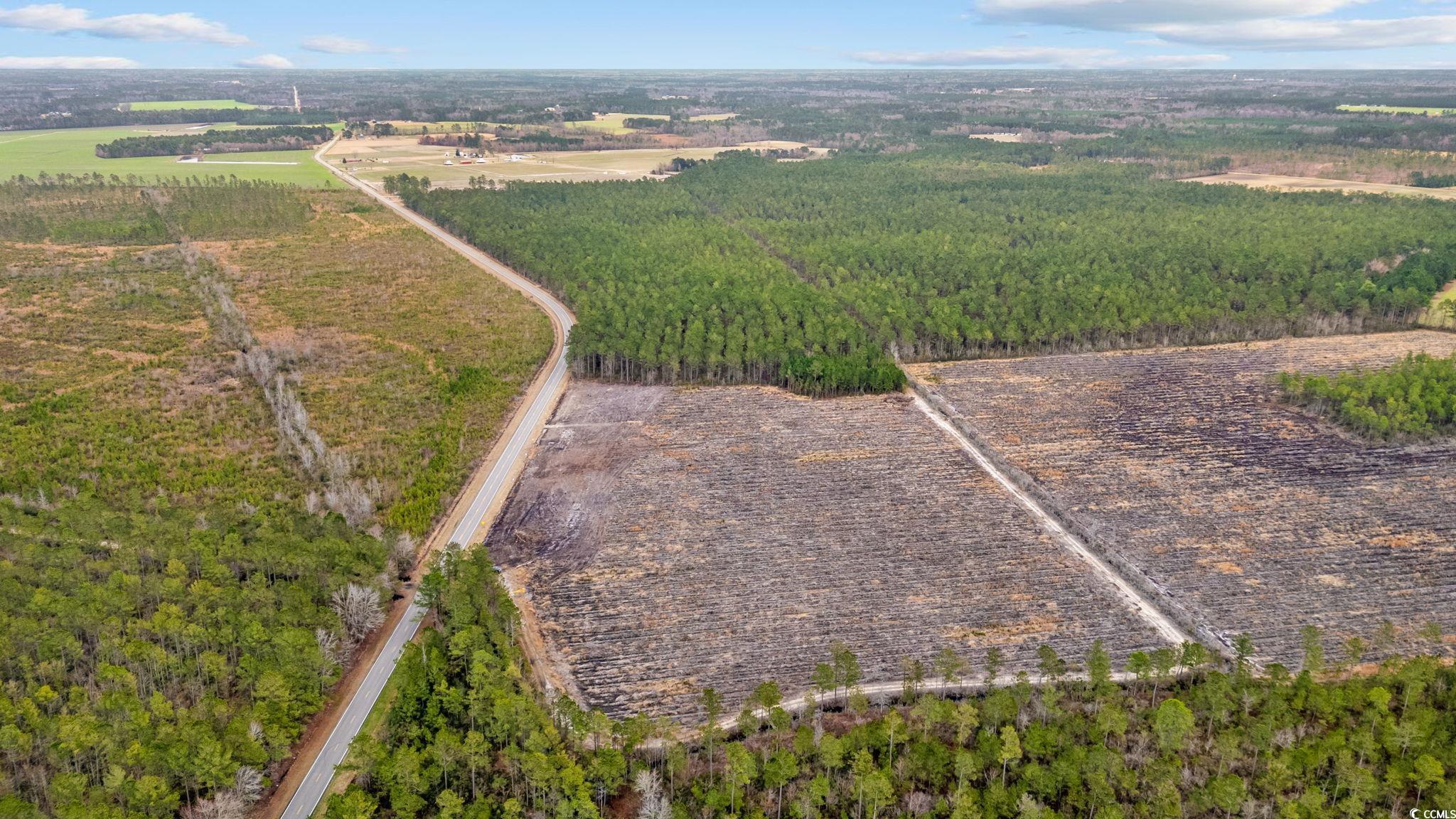 Tbd Joyner Swamp Road Galivants Ferry, SC 29544 - Photo 12 of 18