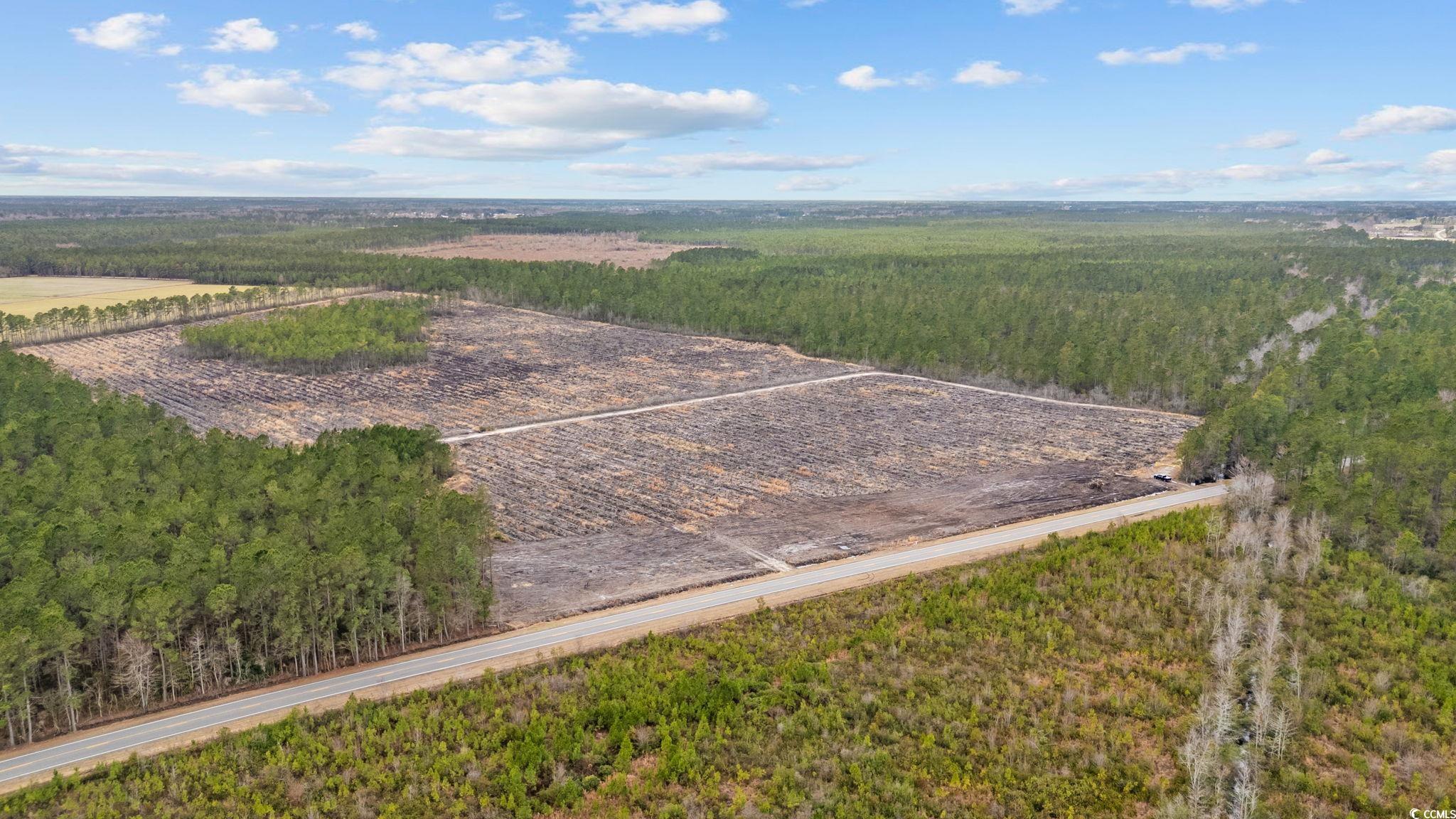 Tbd Joyner Swamp Road Galivants Ferry, SC 29544 - Photo 13 of 18