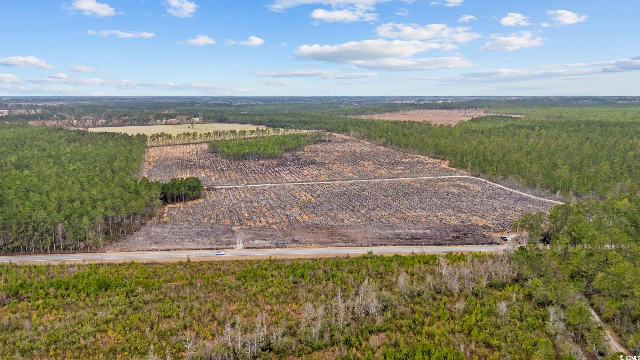 Tbd Joyner Swamp Road Galivants Ferry, SC 29544 - Photo 14 of 18