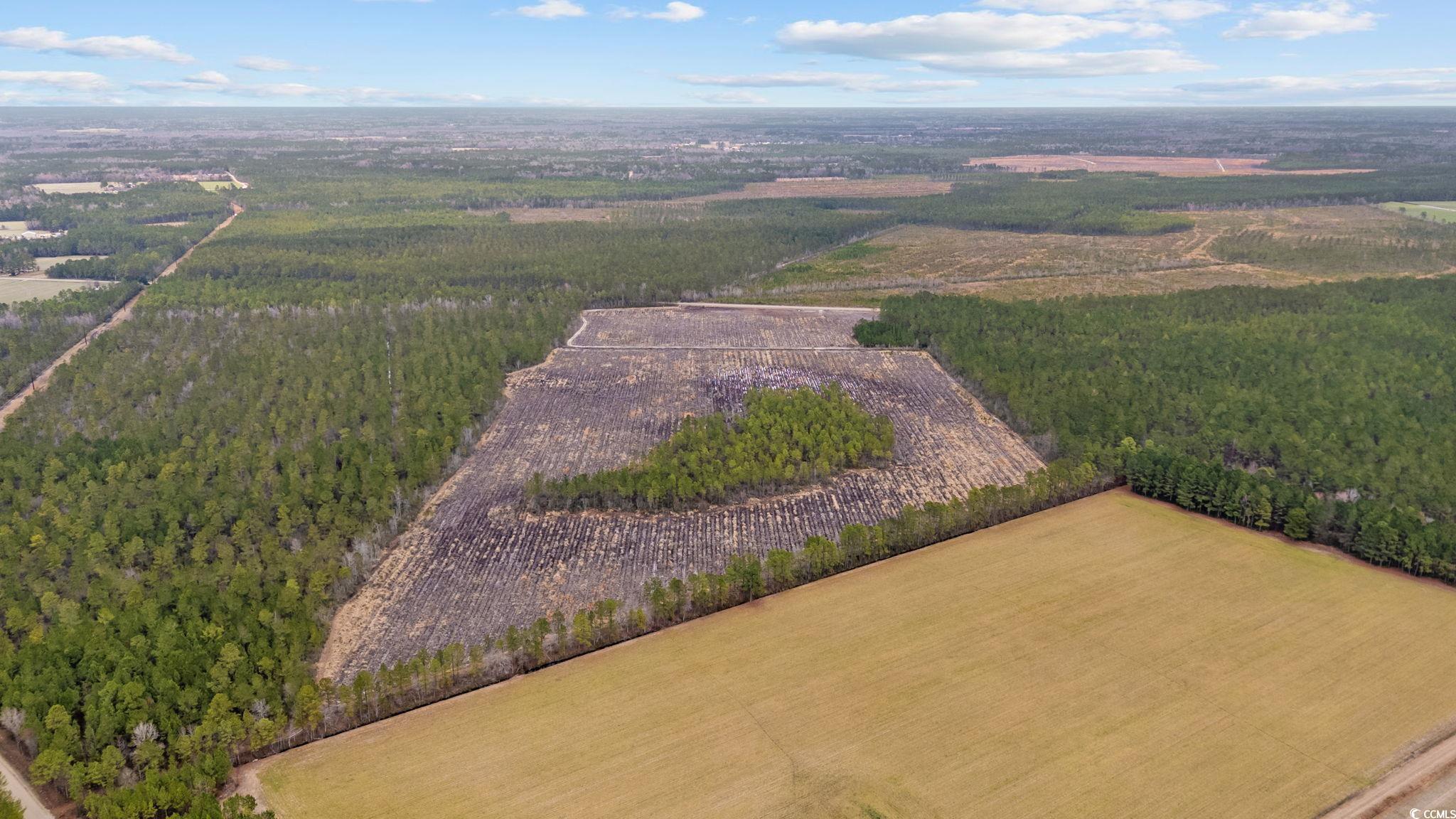 Tbd Joyner Swamp Road Galivants Ferry, SC 29544 - Photo 15 of 18