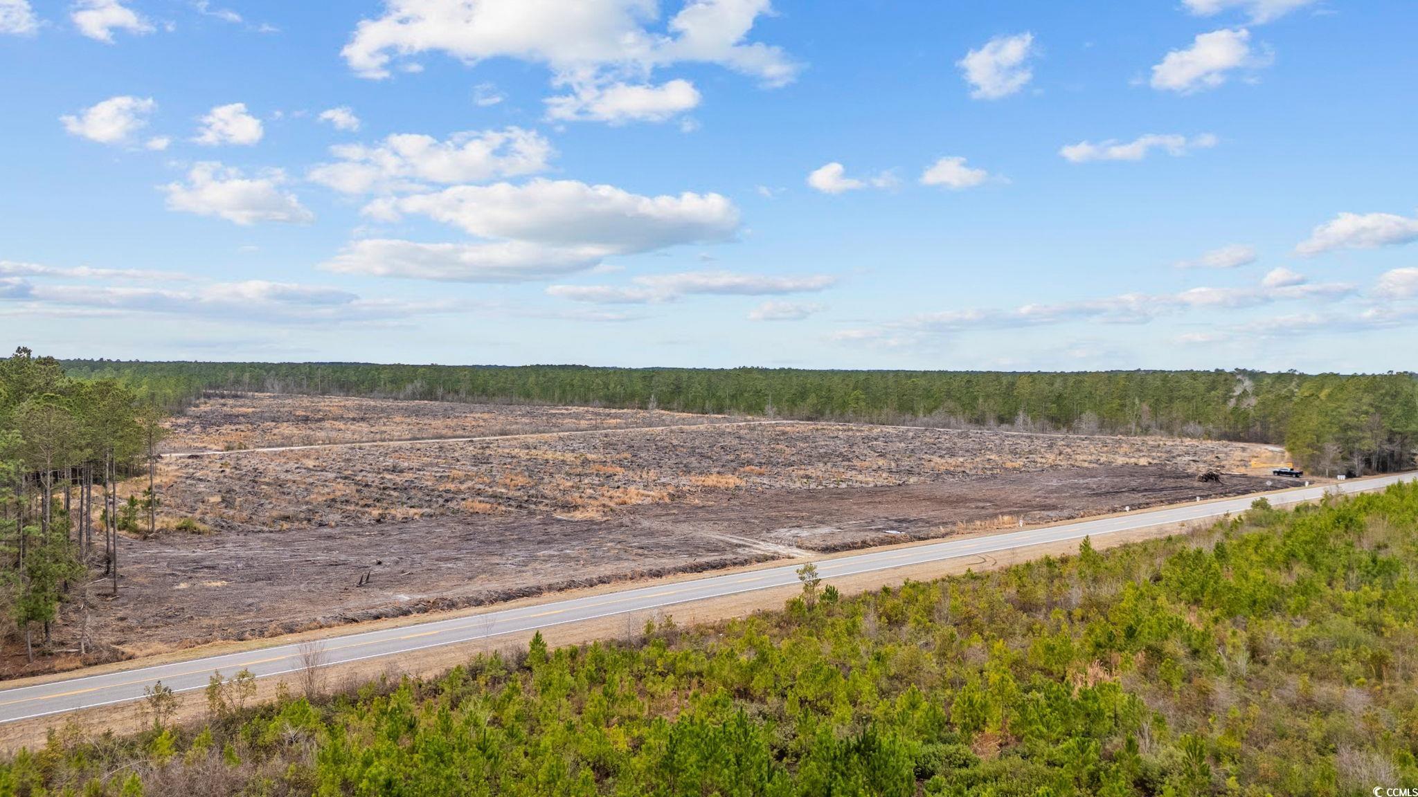 Tbd Joyner Swamp Road Galivants Ferry, SC 29544 - Photo 16 of 18