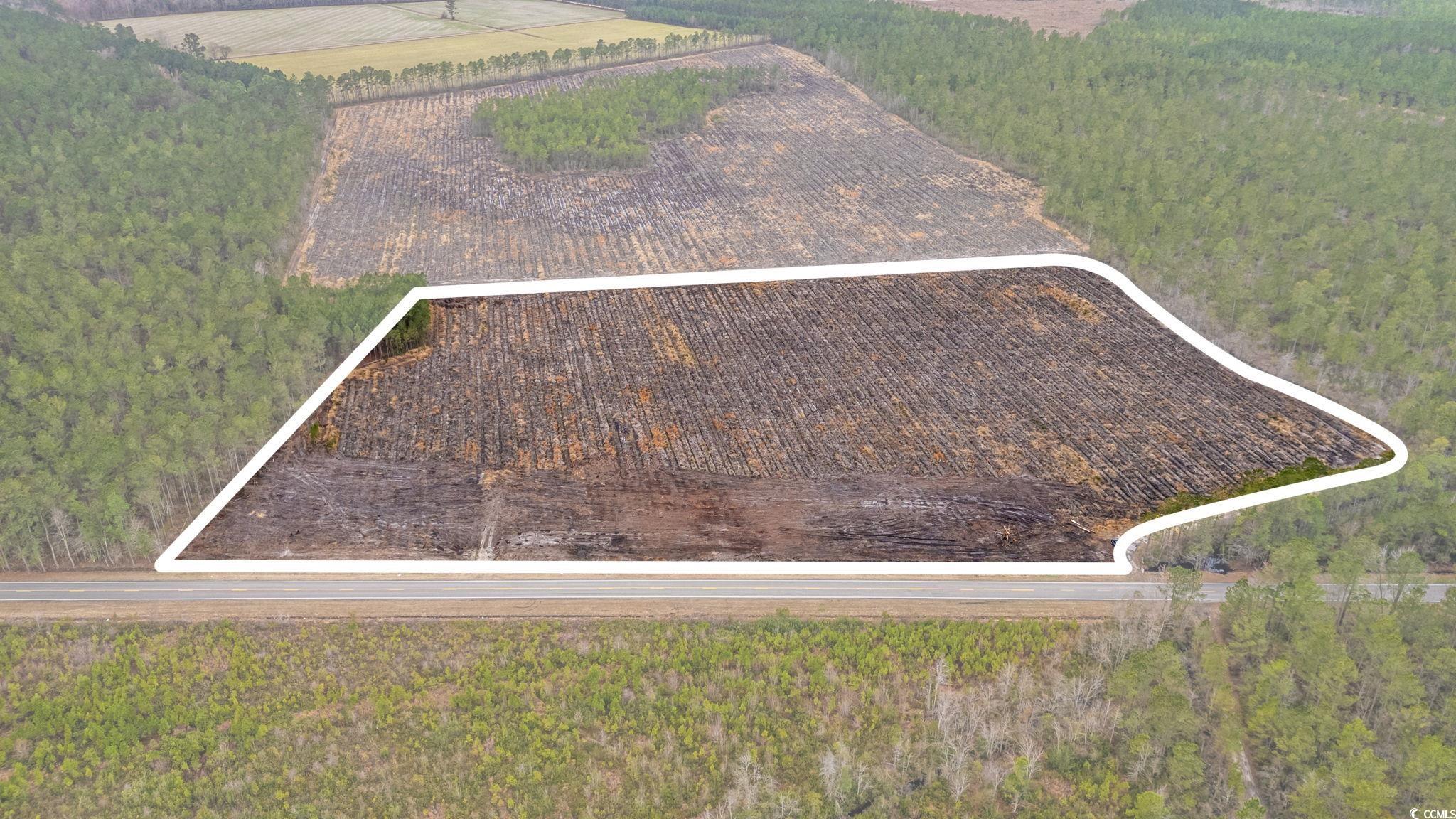 Tbd Joyner Swamp Road Galivants Ferry, SC 29544 - Photo 18 of 18