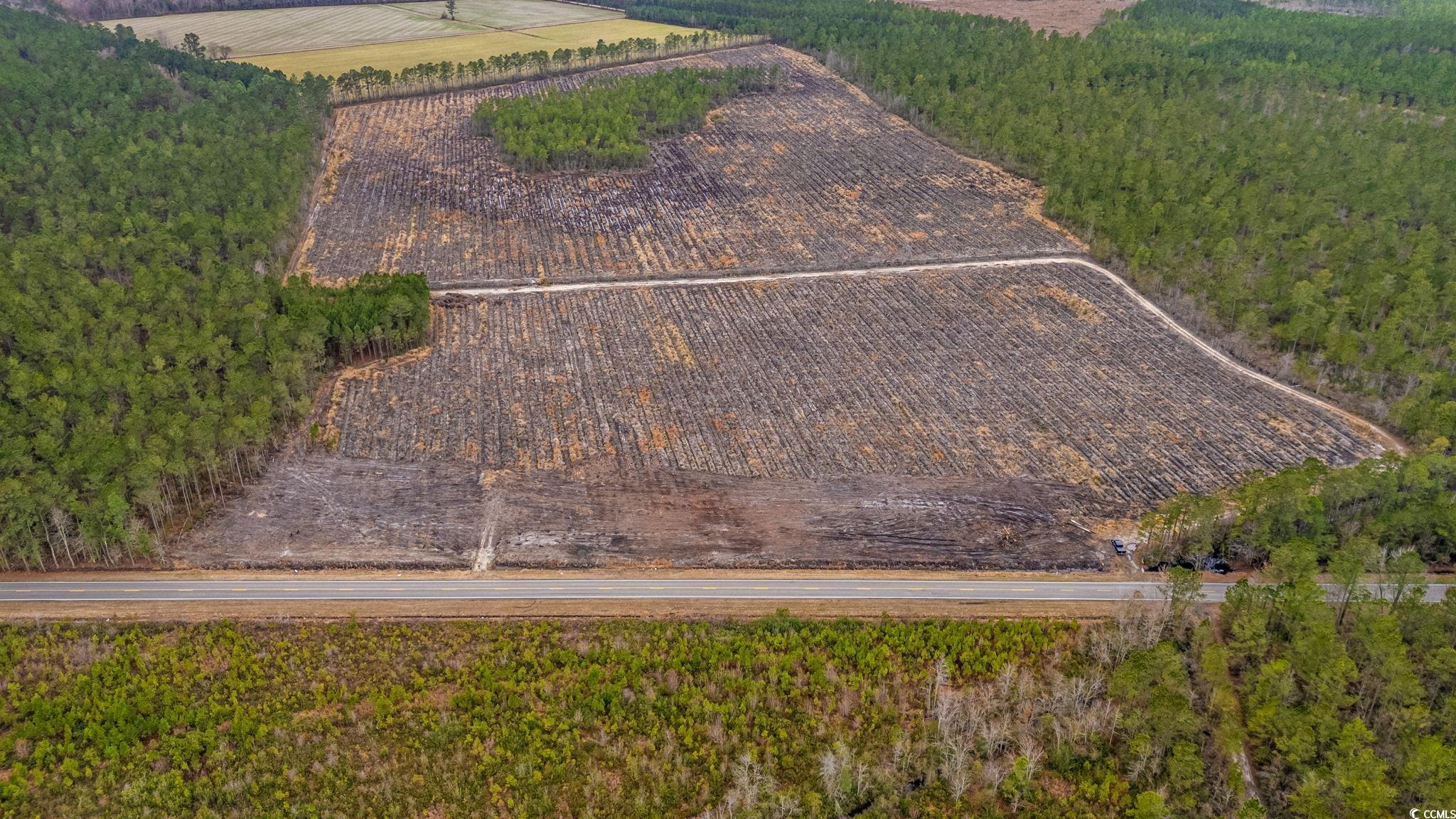 Tbd Joyner Swamp Road Galivants Ferry, SC 29544 - Photo 8 of 18