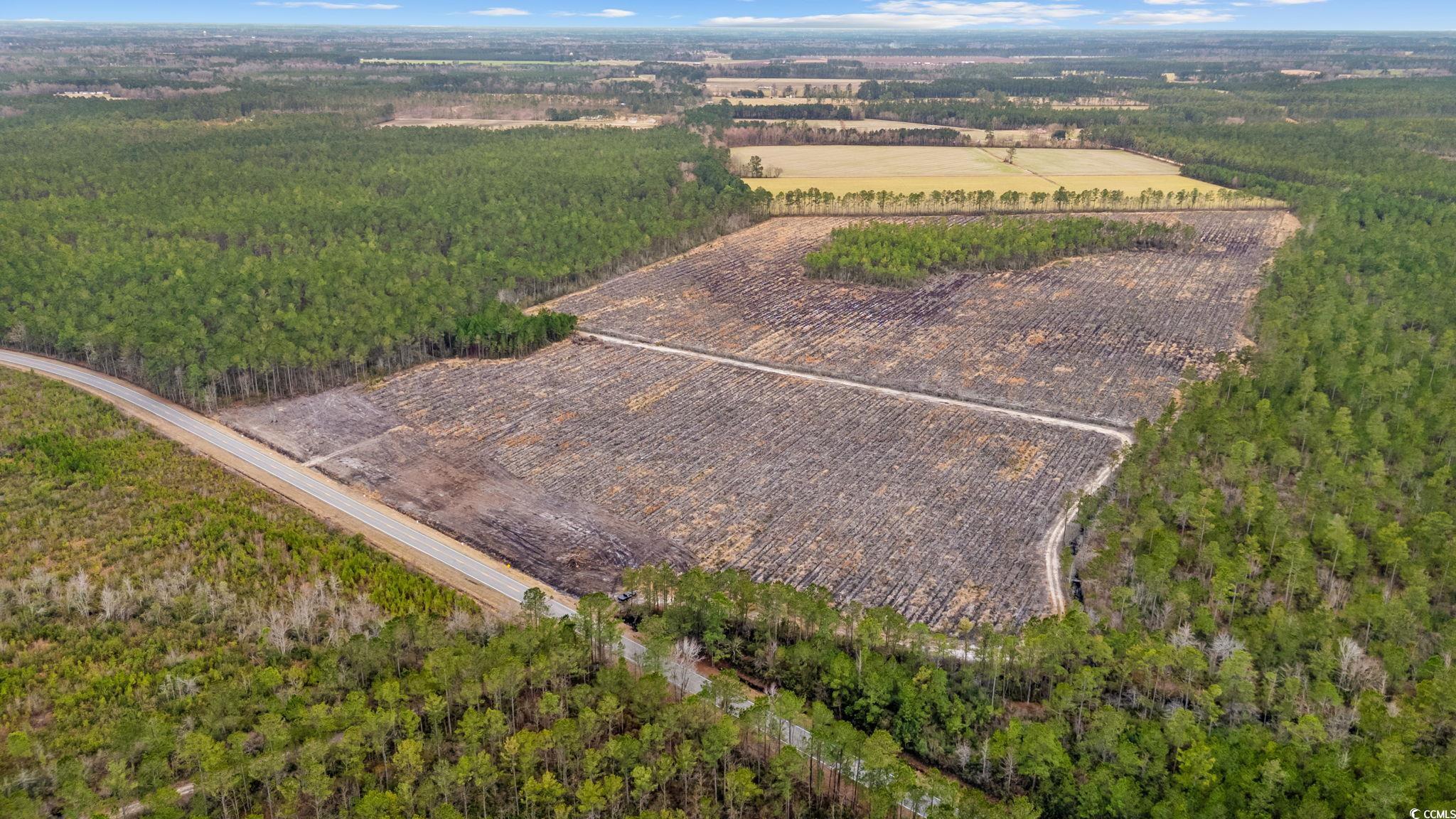 Tbd Joyner Swamp Road Galivants Ferry, SC 29544 - Photo 9 of 18