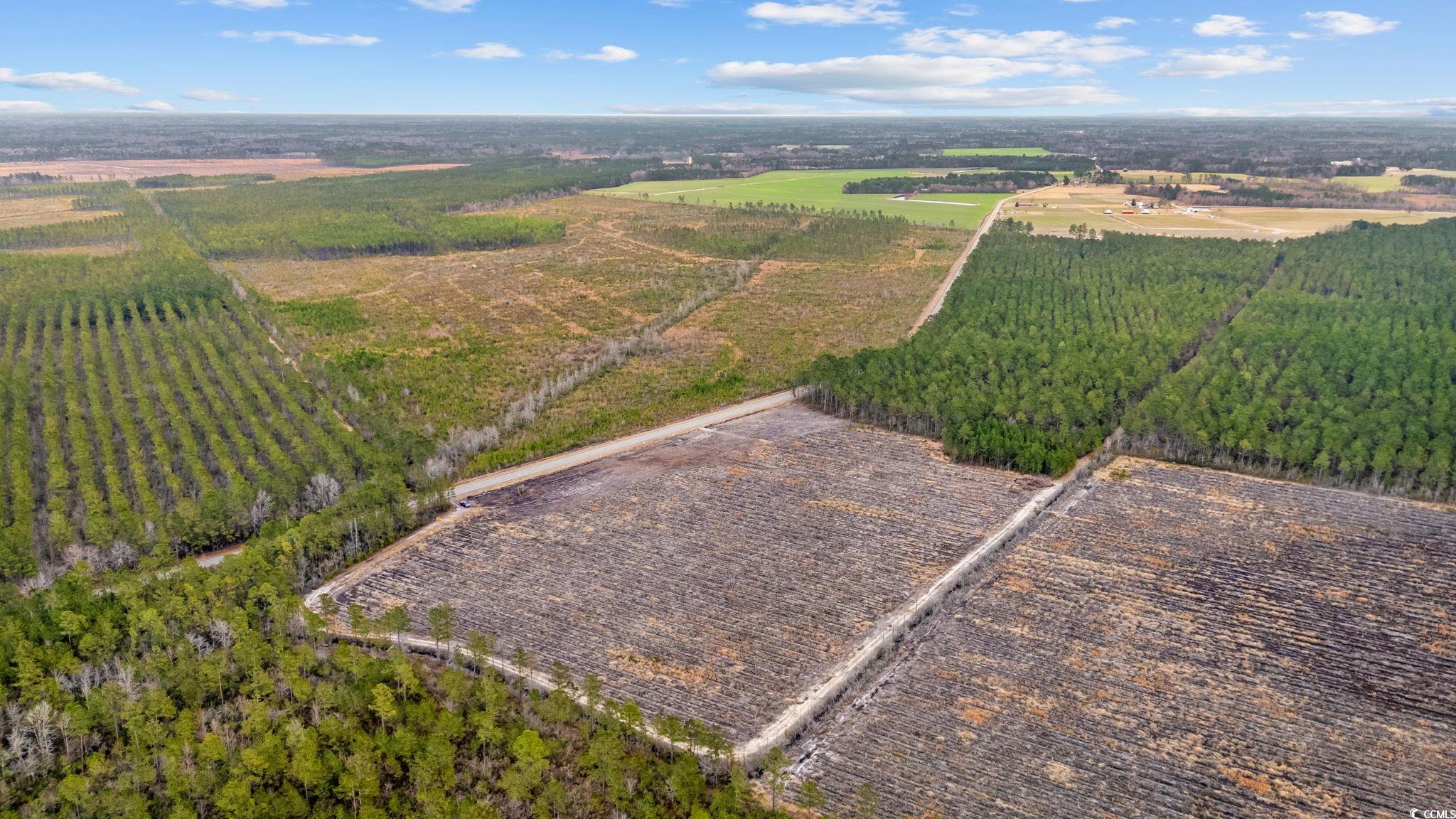 Tbd Joyner Swamp Road Galivants Ferry, SC 29544 - Photo 10 of 18
