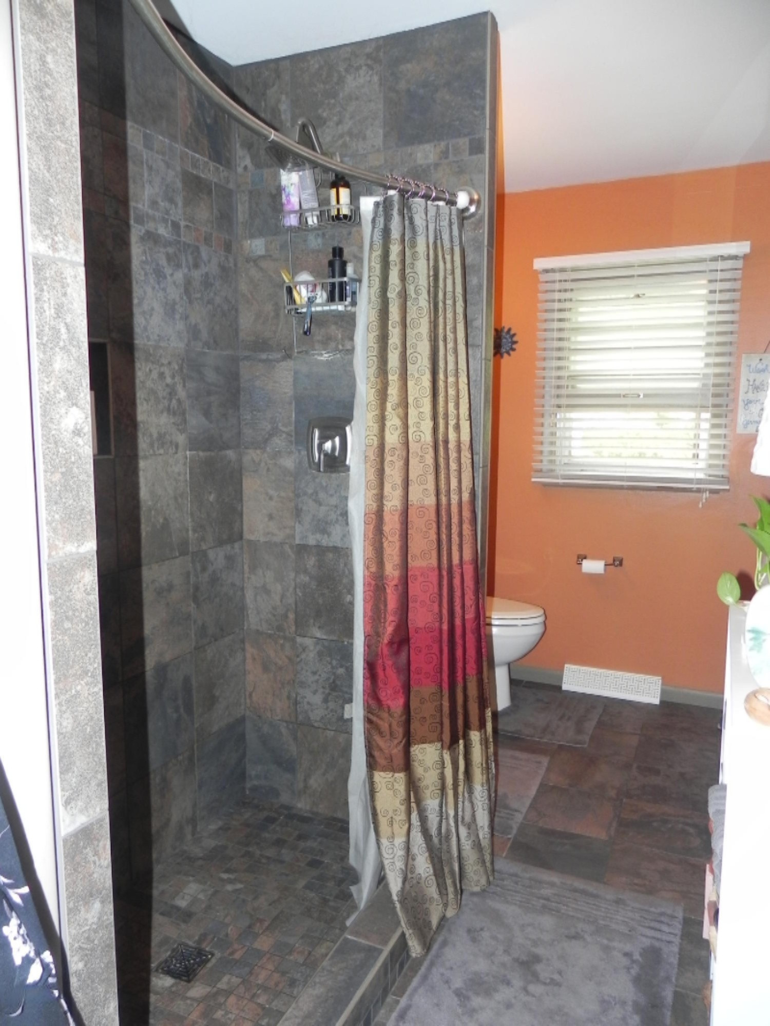 207 East St Marys Street Decatur, MI 49045 - Photo 11 of 19 DSCN7064