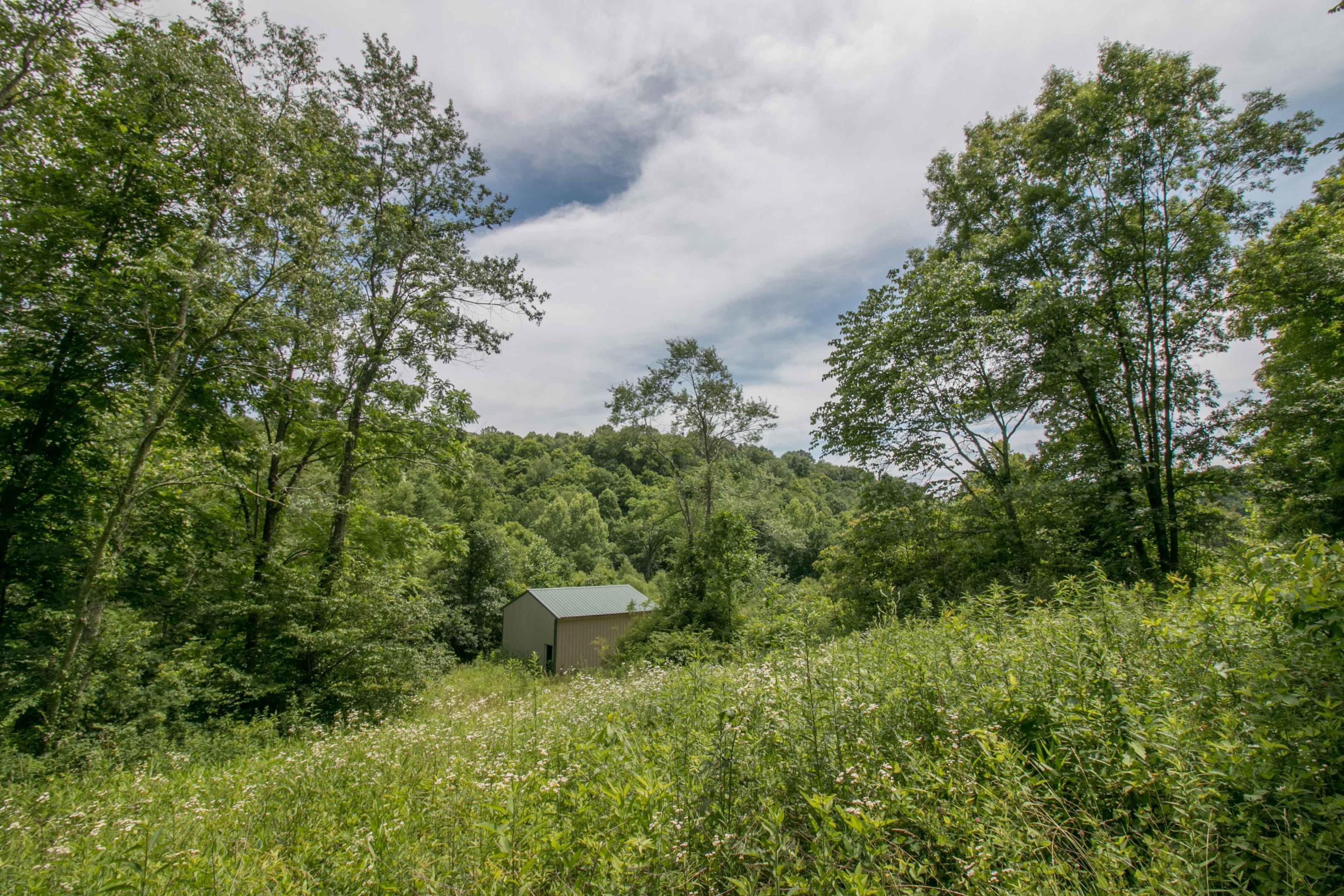 8640 Carr Bailey Road Millfield, OH 45761 - Photo 13 of 50 Gallery Image 13