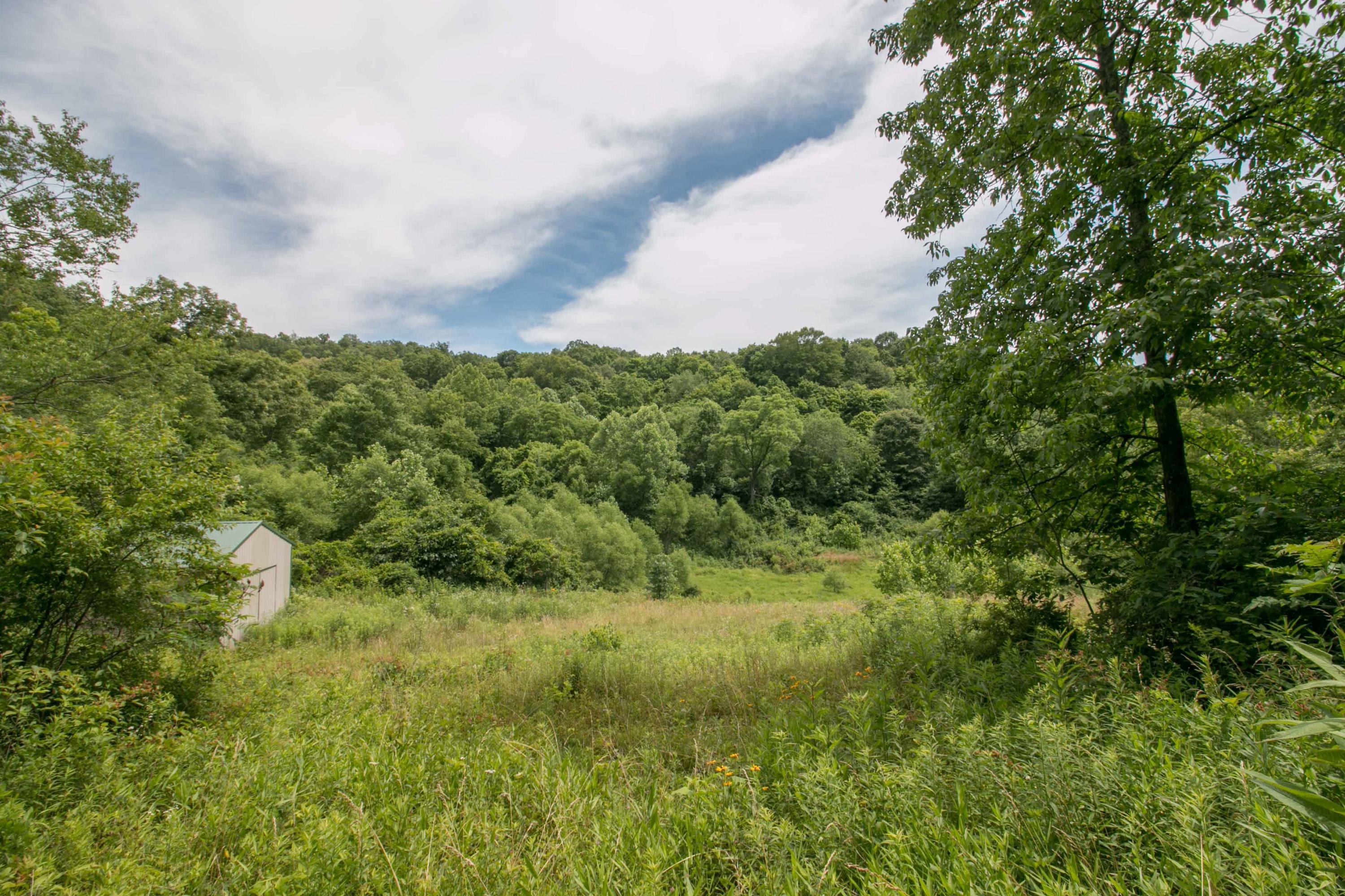 8640 Carr Bailey Road Millfield, OH 45761 - Photo 14 of 50 Gallery Image 14