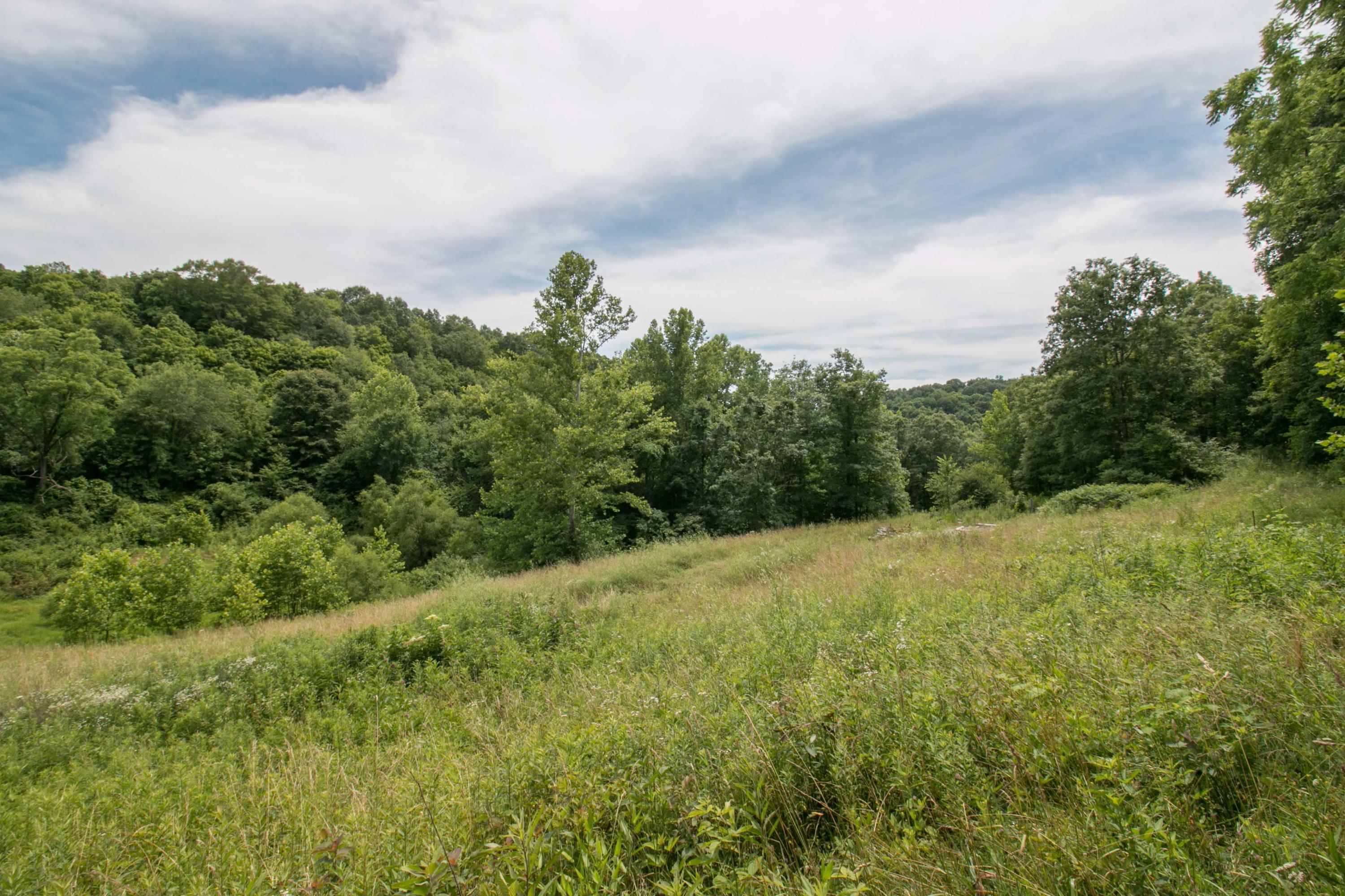 8640 Carr Bailey Road Millfield, OH 45761 - Photo 16 of 50 Gallery Image 16